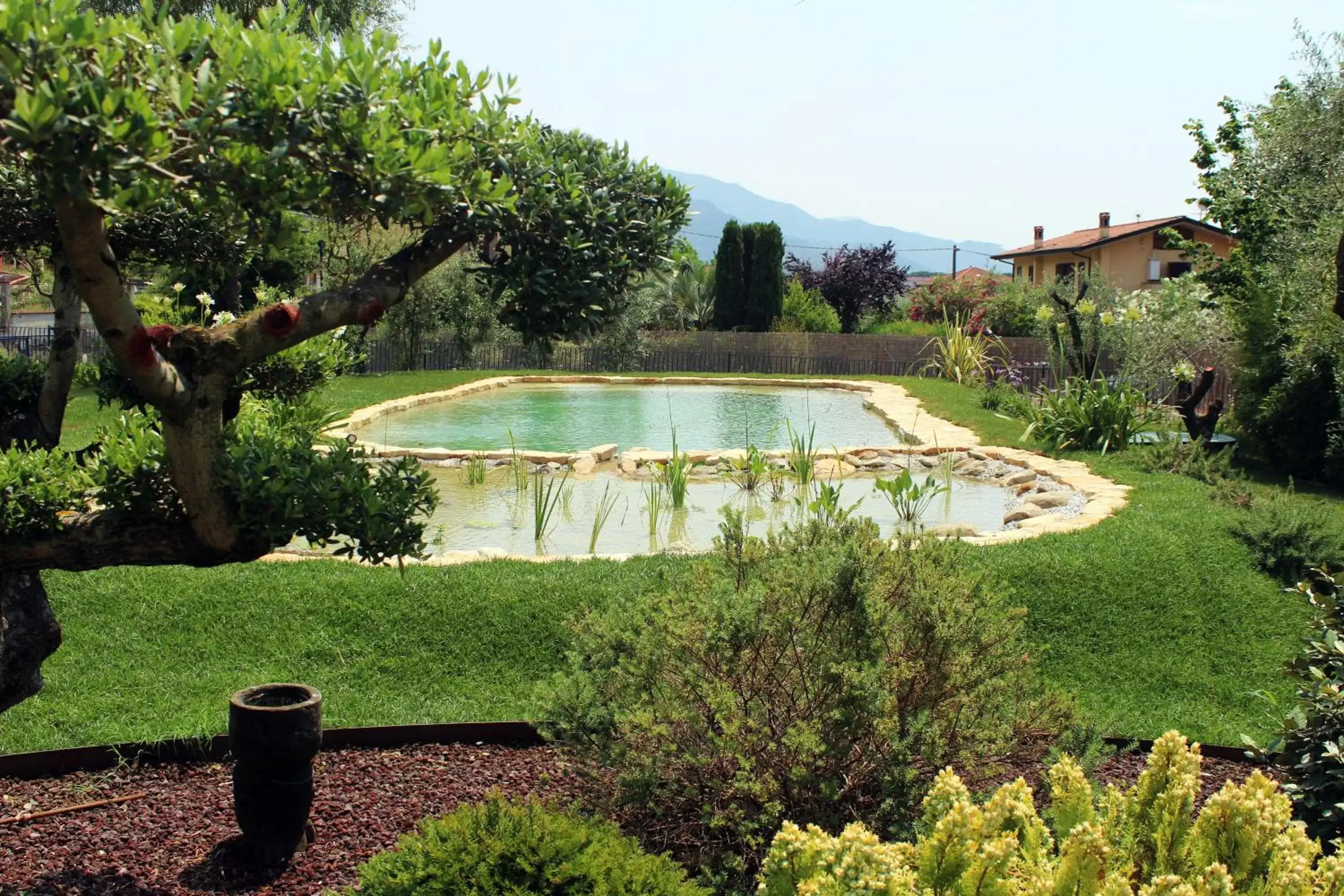 Garden in Le Ginestre