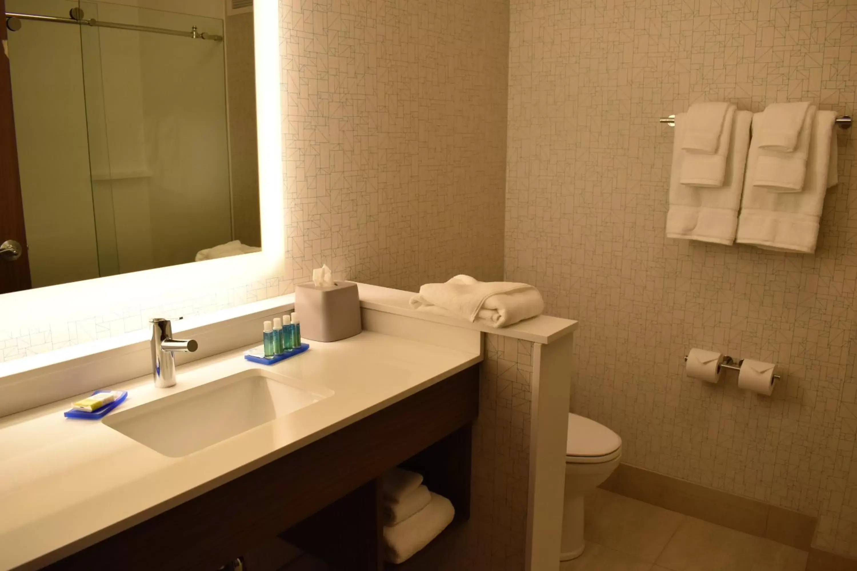 Bathroom in Holiday Inn Express & Suites - Boston South - Randolph, an IHG Hotel
