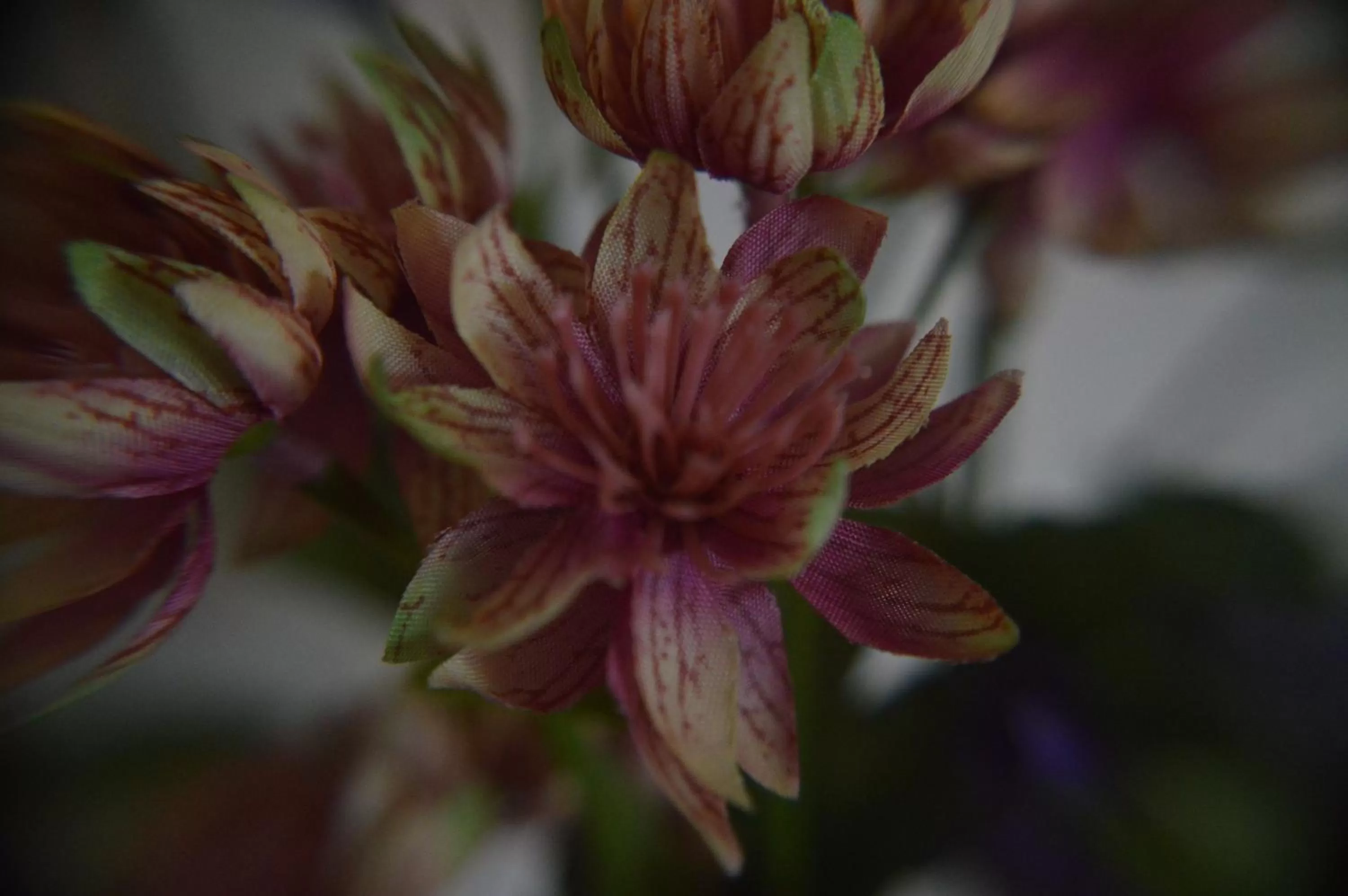 Decorative detail in B&B Al Golfo