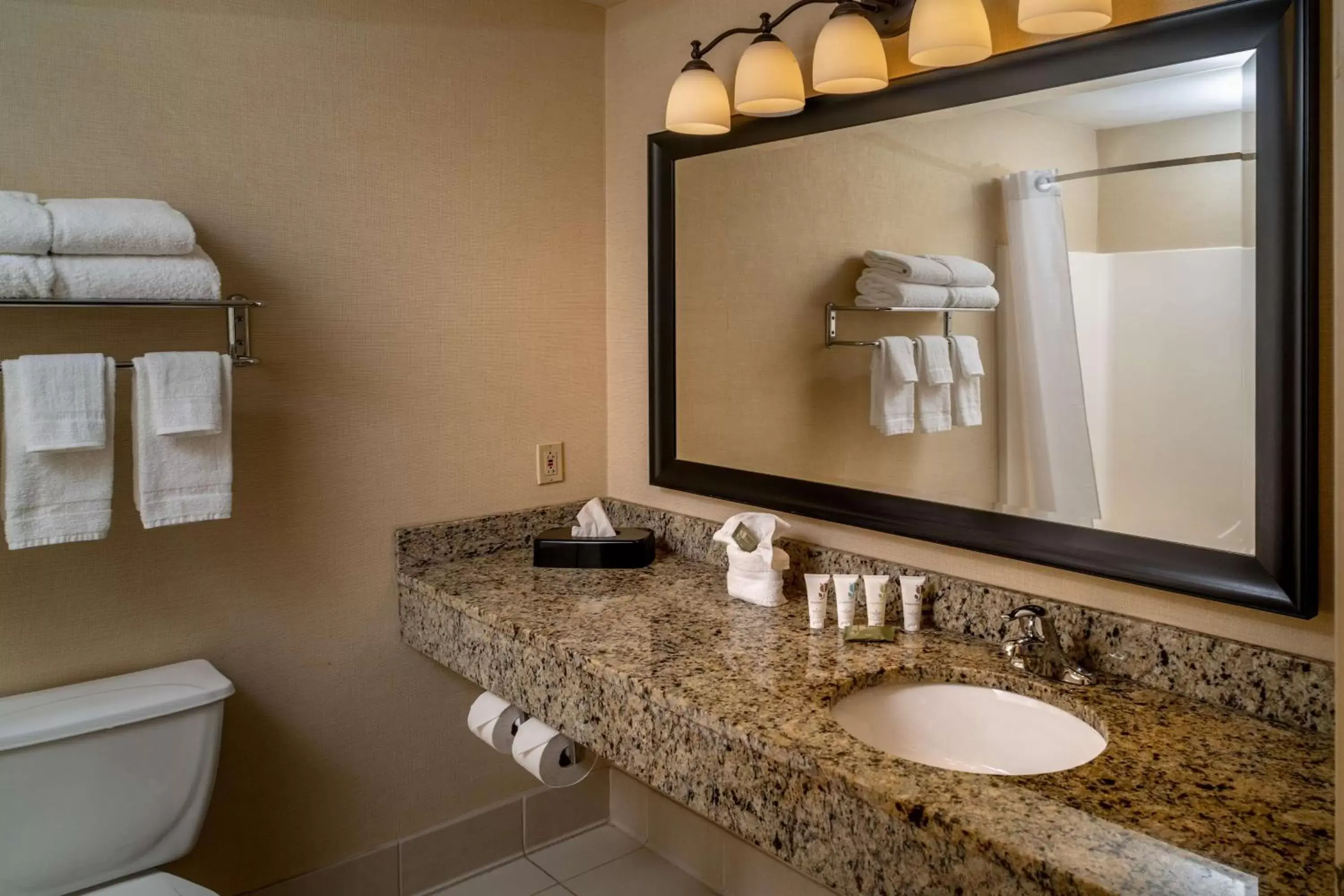 Bathroom in Country Inn & Suites by Radisson, Charleston South, WV