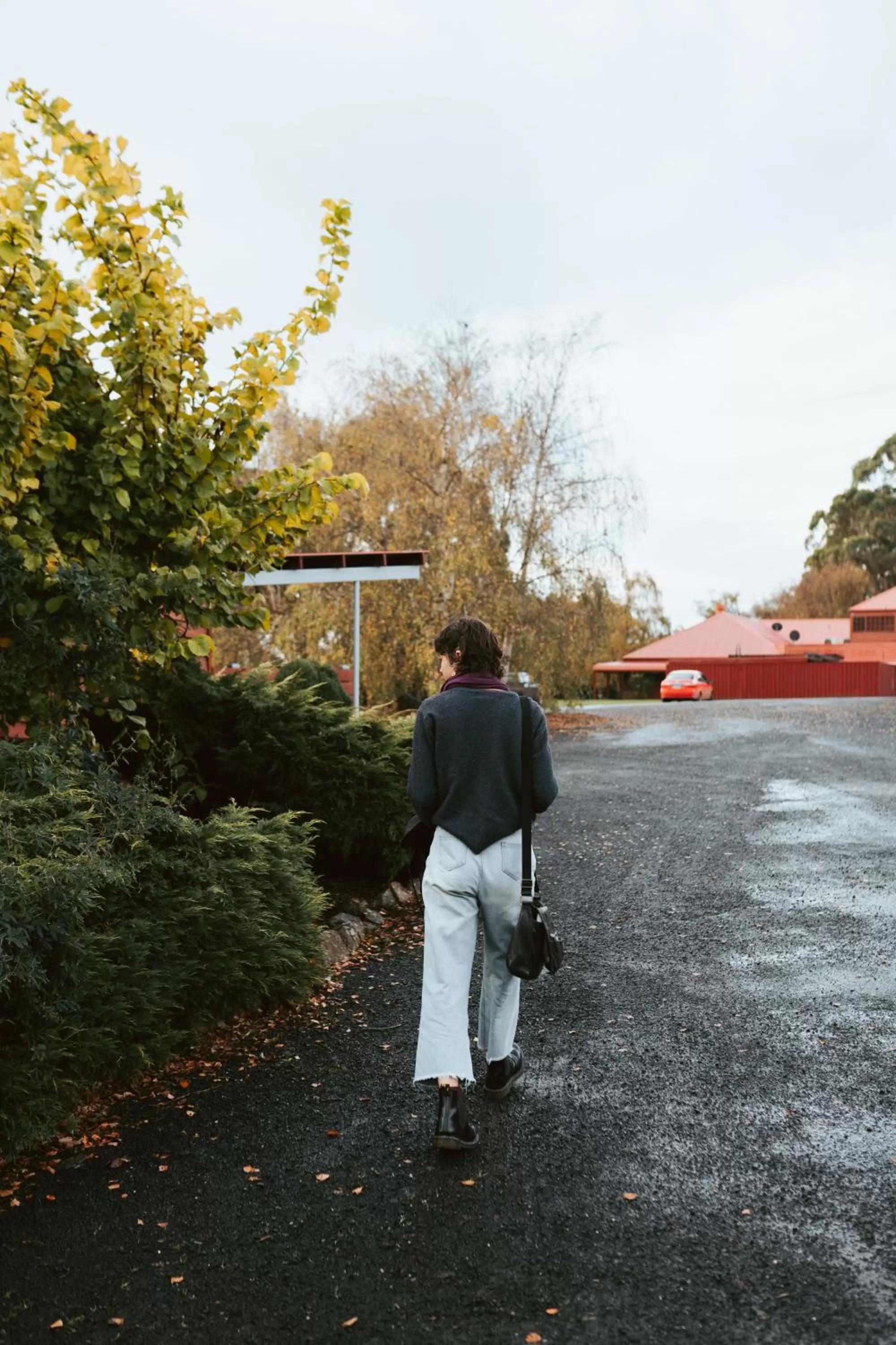 Garden in Tall Timbers Tasmania