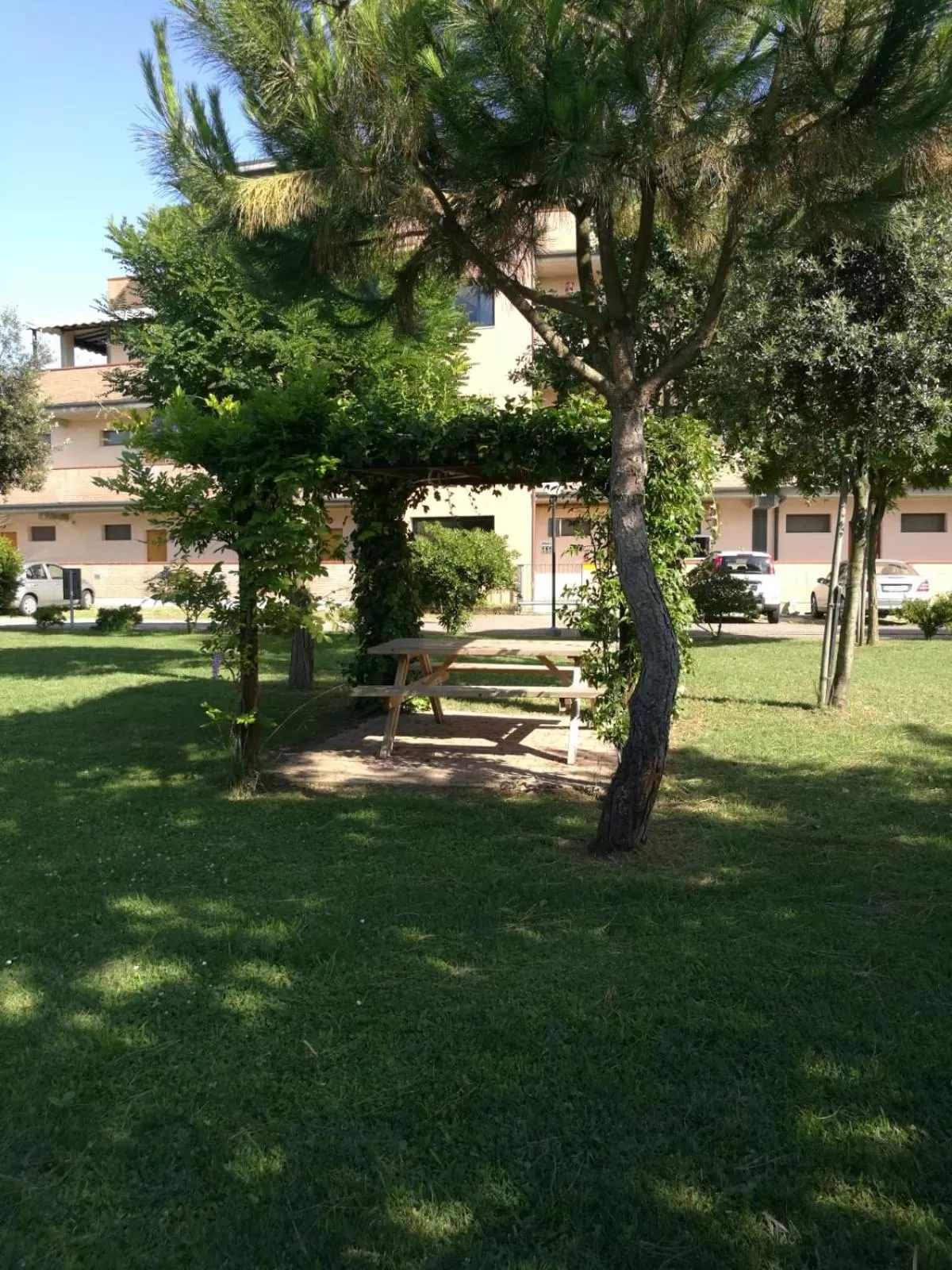 Garden in Aparthotel Costa Paradiso