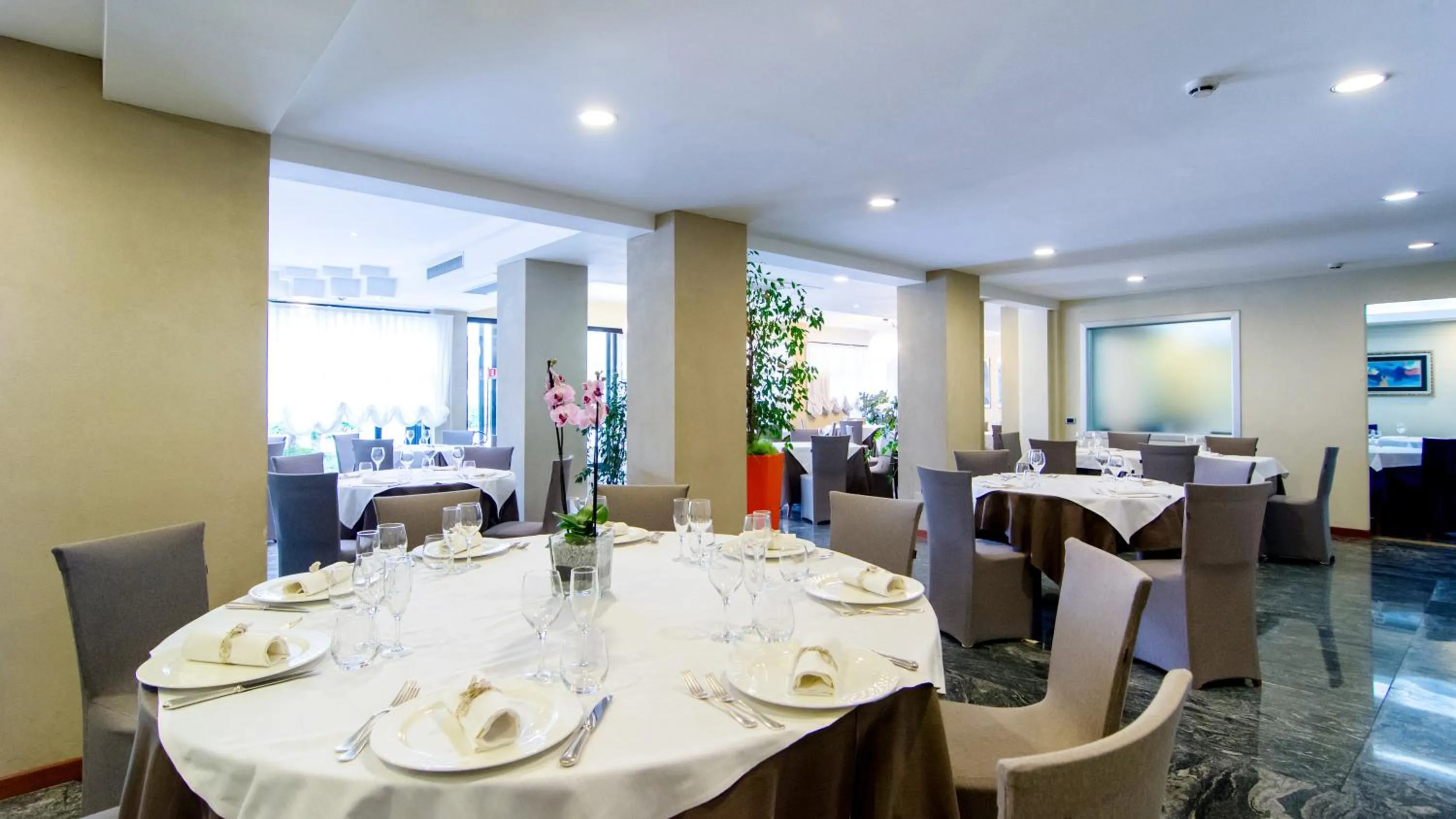 Restaurant/places to eat in Hotel Concorde