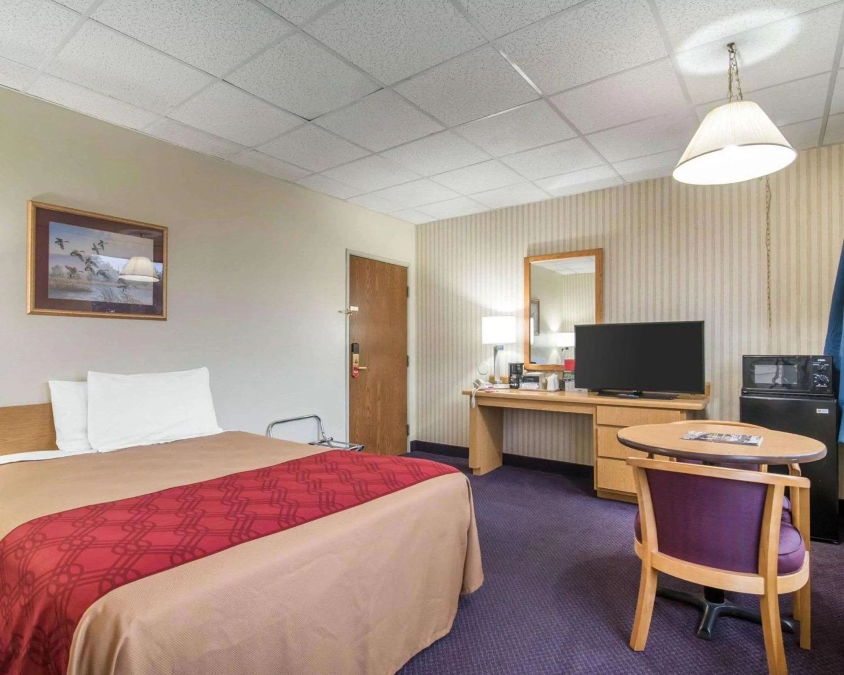 Photo of the whole room, Bed in Econo Lodge Manchester