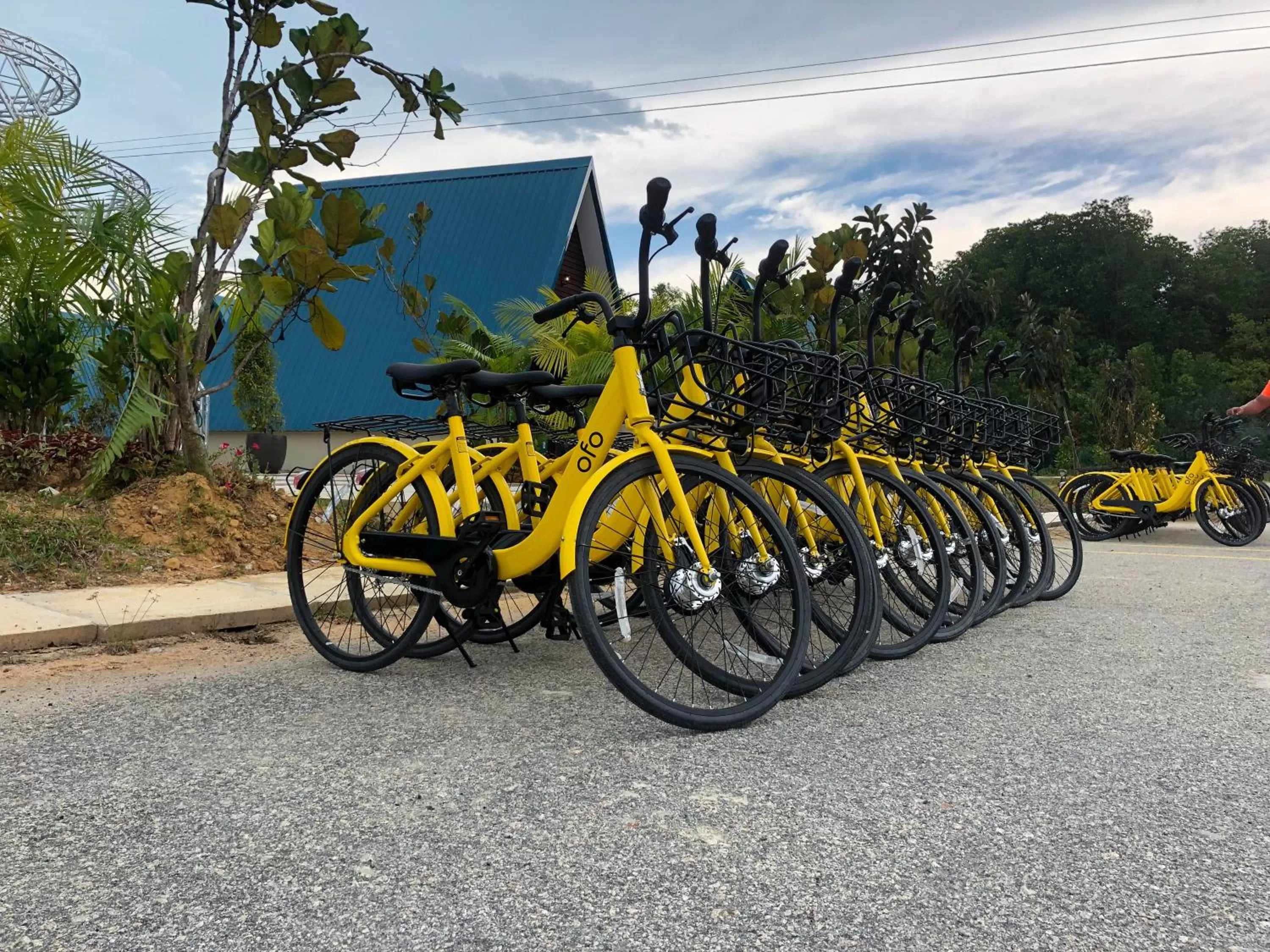 Activities in SENTA Adventure Camp & Resort