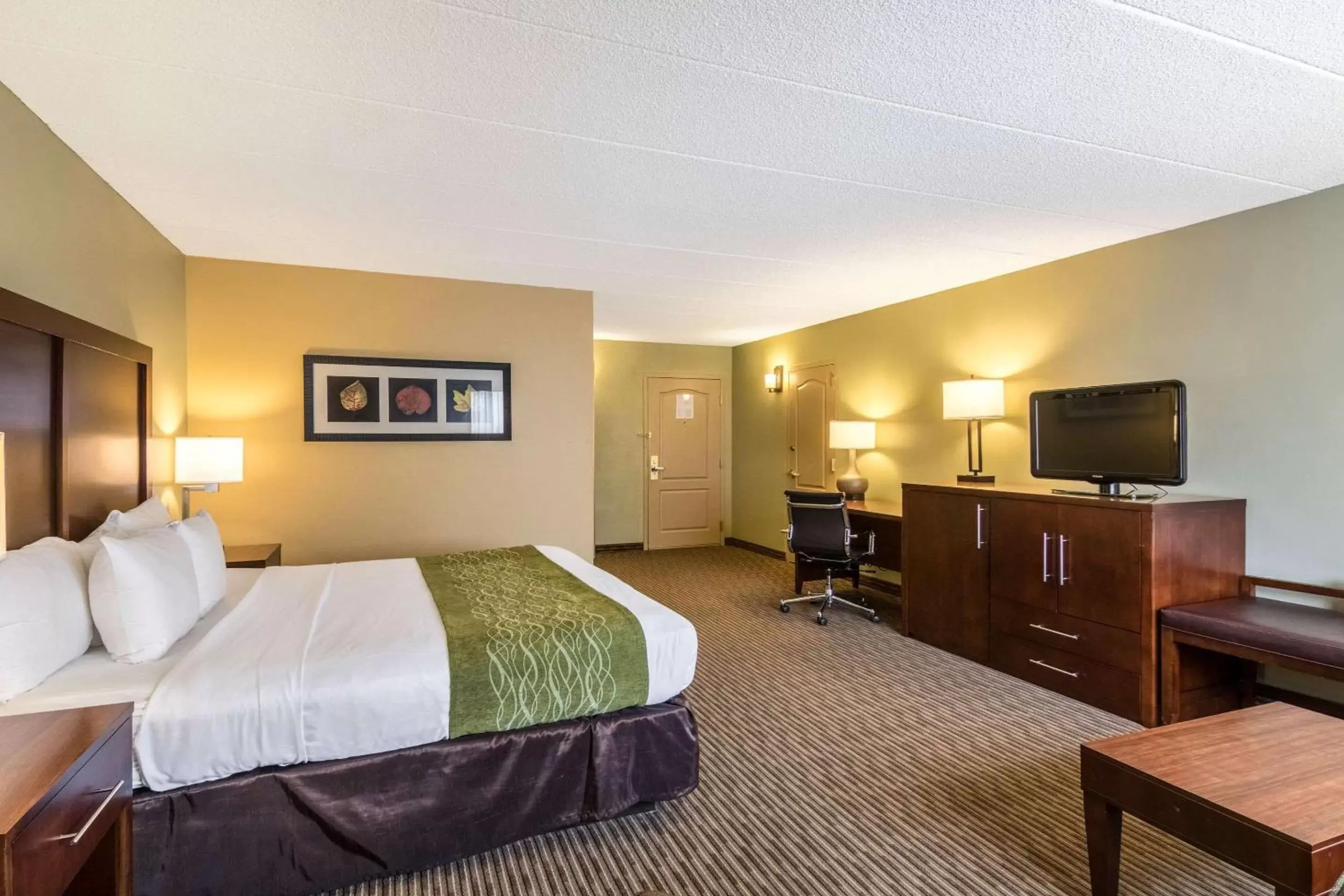 Photo of the whole room, TV/Entertainment Center in Comfort Inn Plymouth-Minneapolis