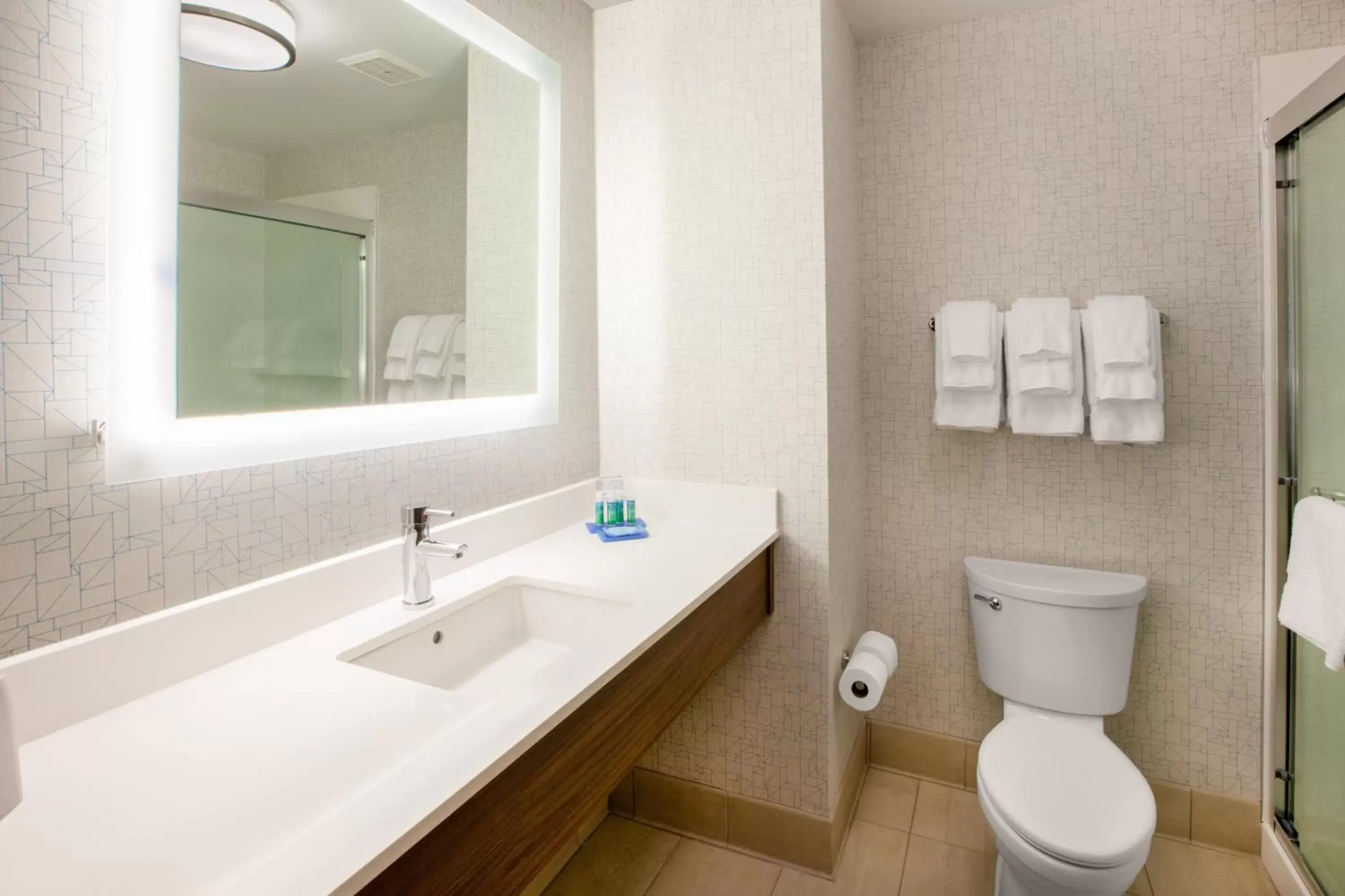 Photo of the whole room, Bathroom in Holiday Inn Express & Suites - Bourbonnais East - Bradley, an IHG Hotel