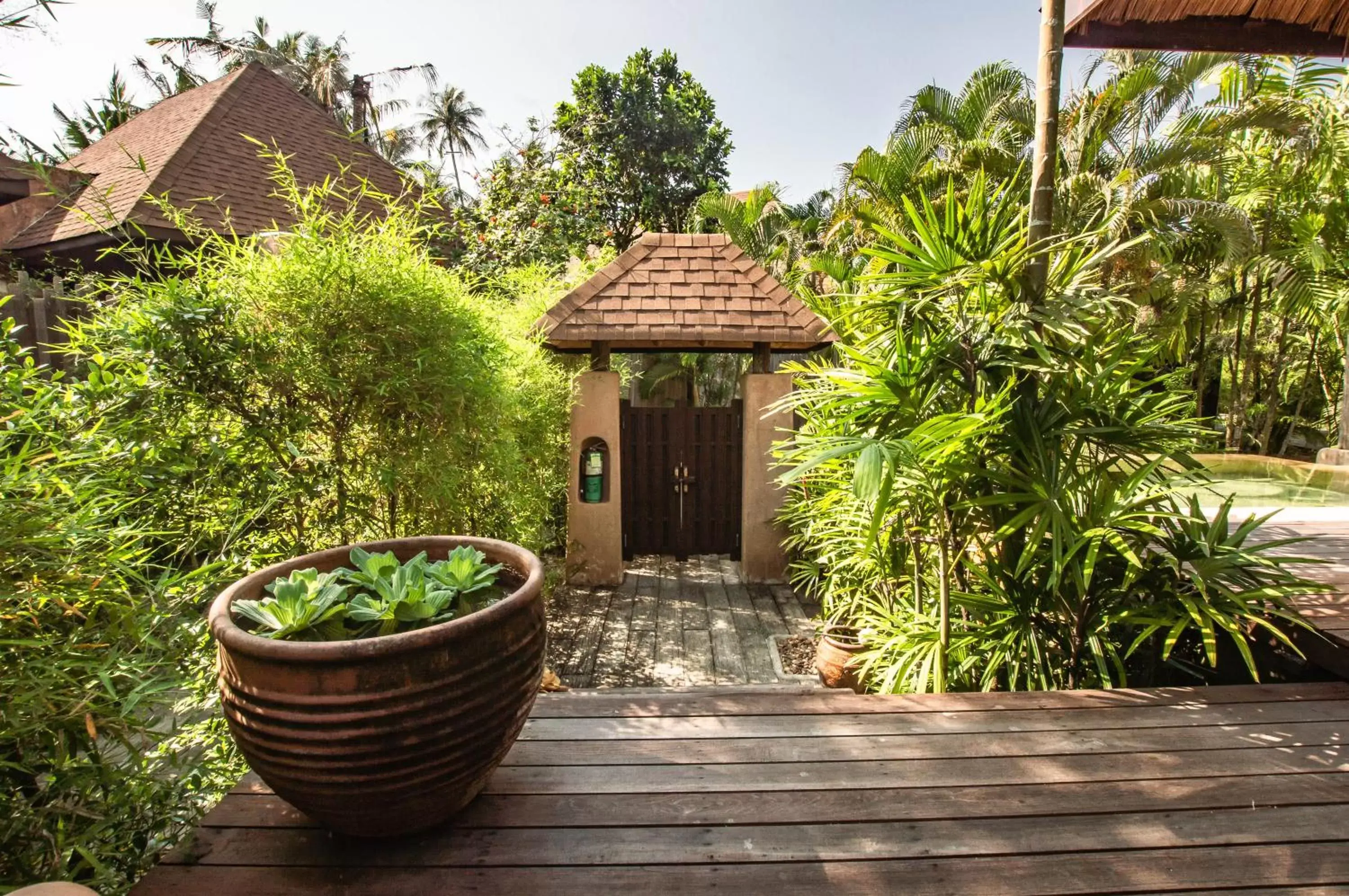 Garden view in High Season Pool Villa & Spa