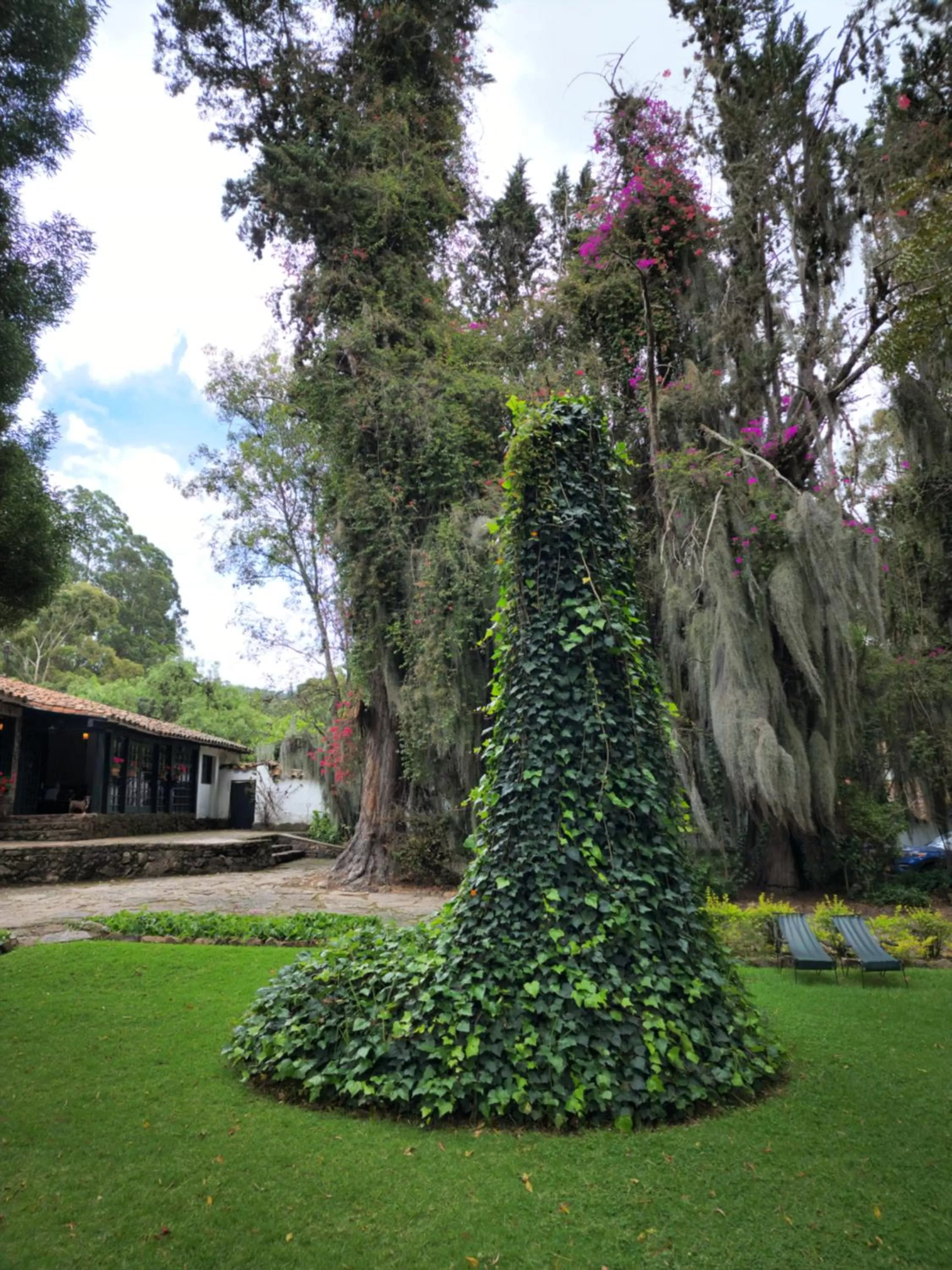 Garden in Hacienda Suescún - 300 Años de Historia