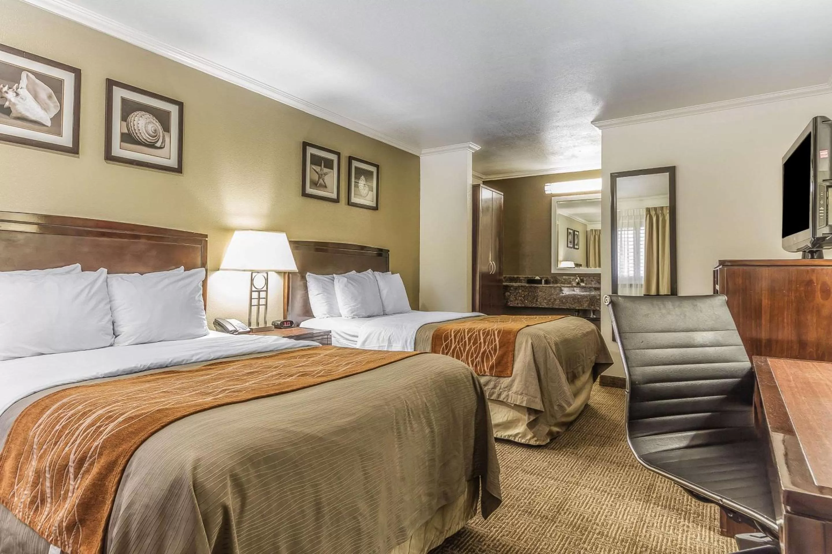 Photo of the whole room, Bed in Comfort Inn