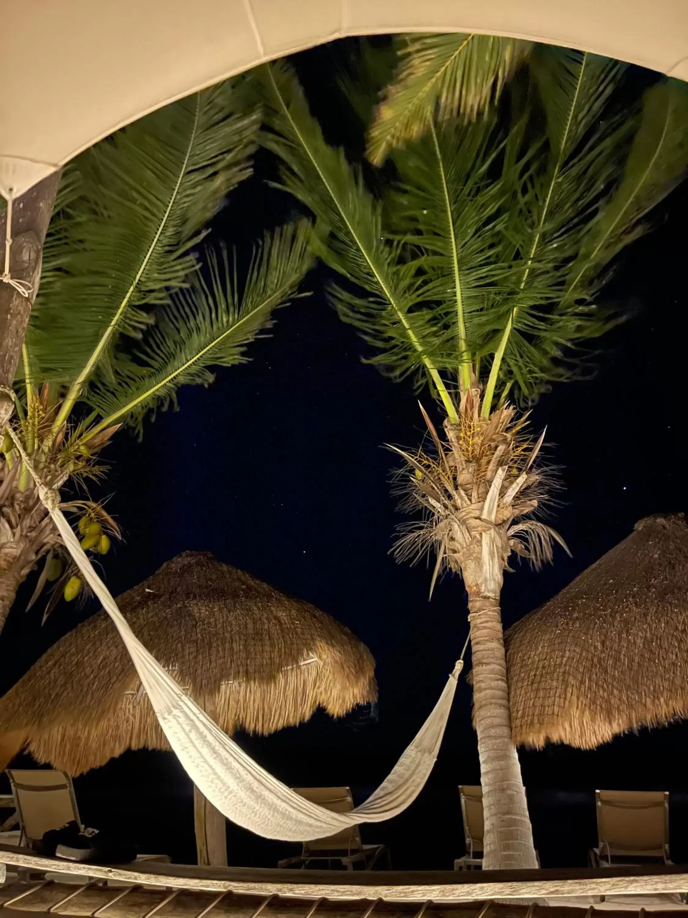 Beach in Sueños Tulum