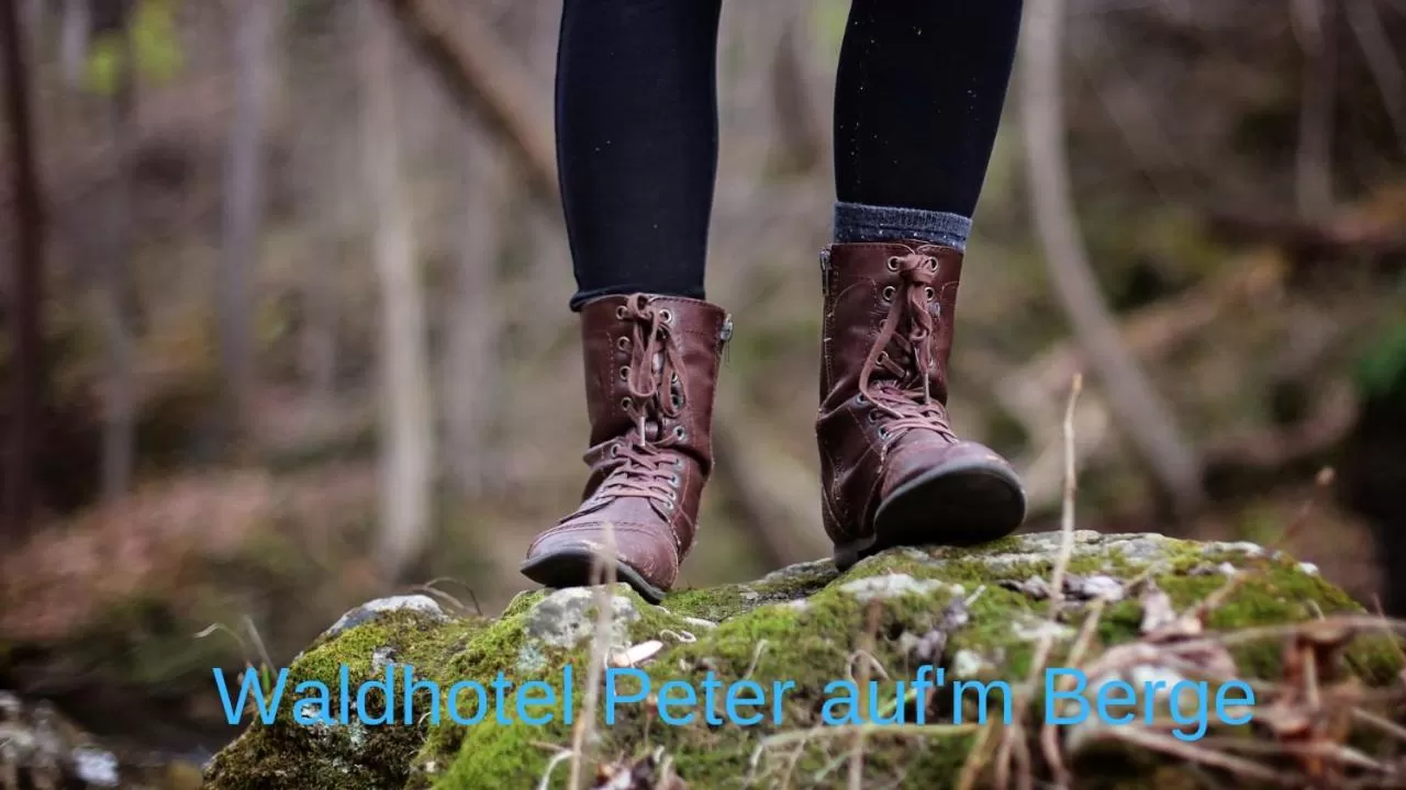 Waldhotel "Peter aufm Berge"