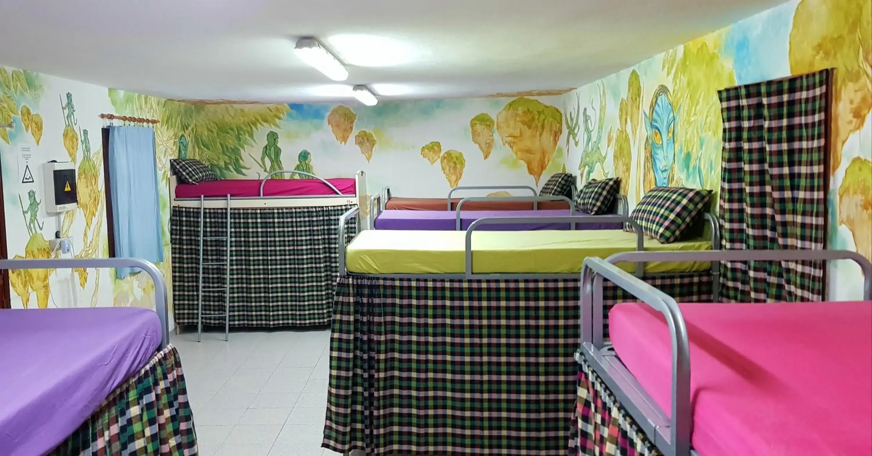 People, Bunk Bed in Hostel Los Duendes del Sur