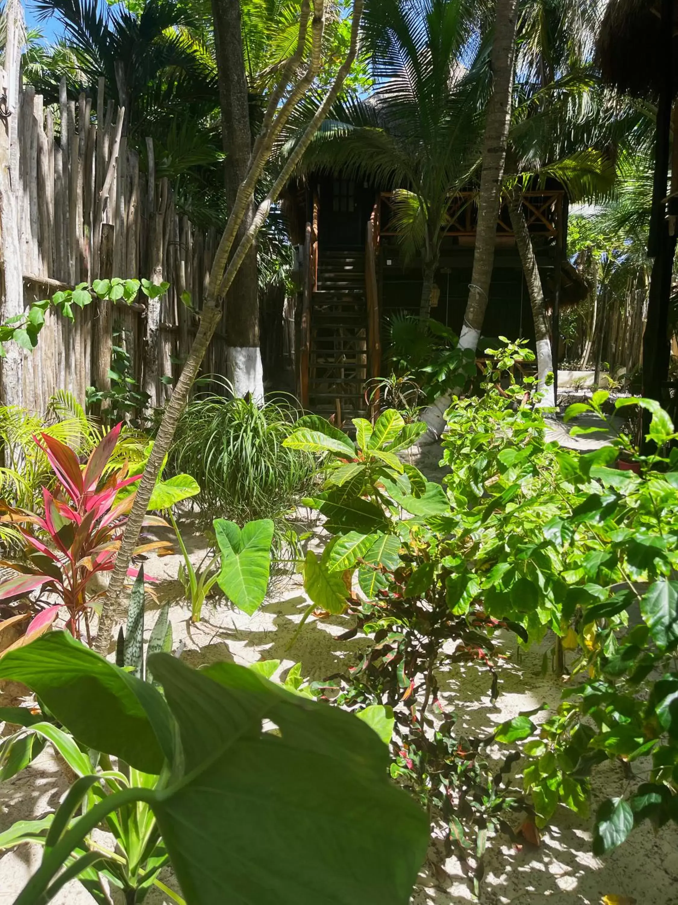 Garden in Sivana Tulum