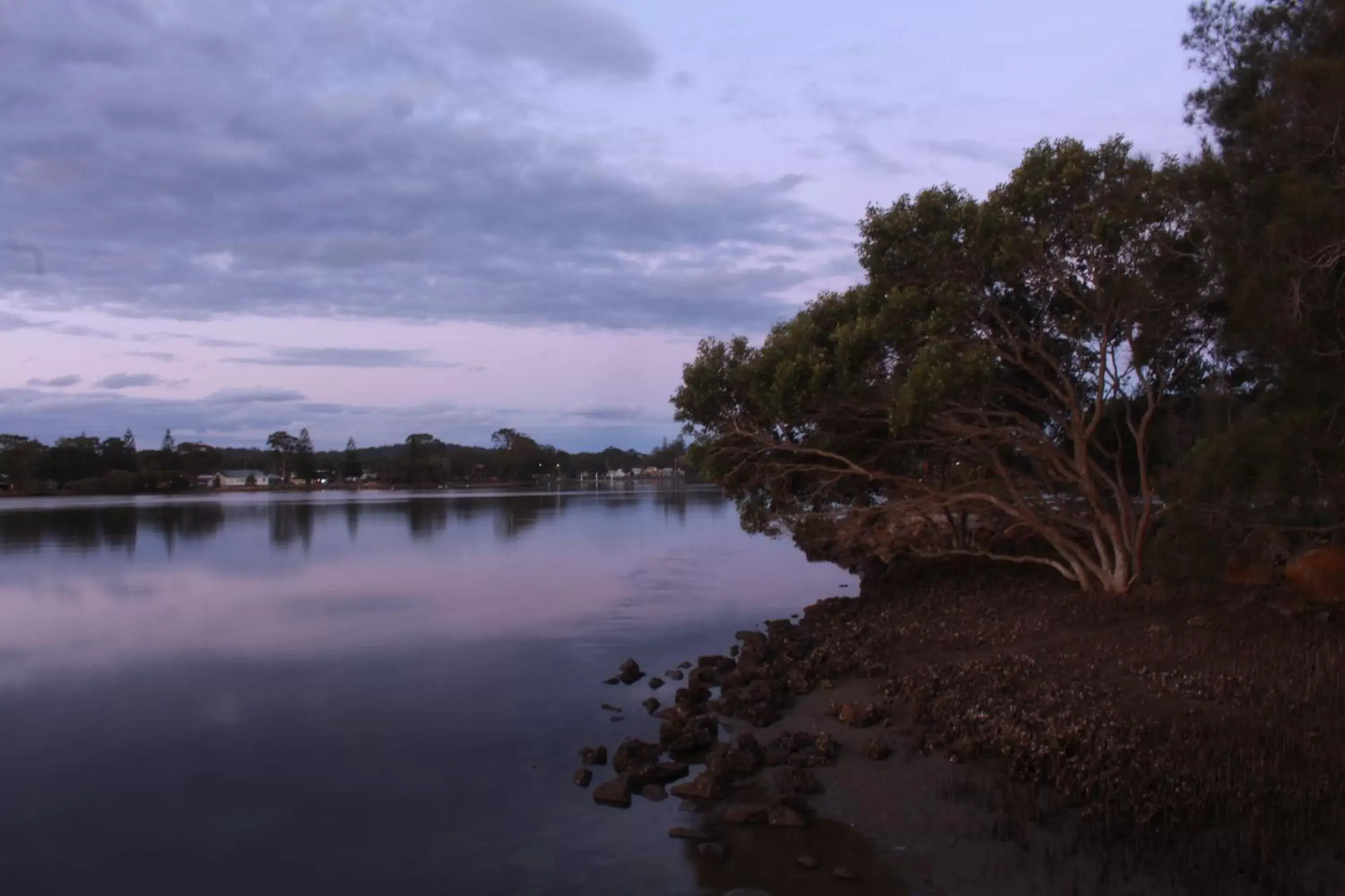 Natural landscape in Woongarra Motel