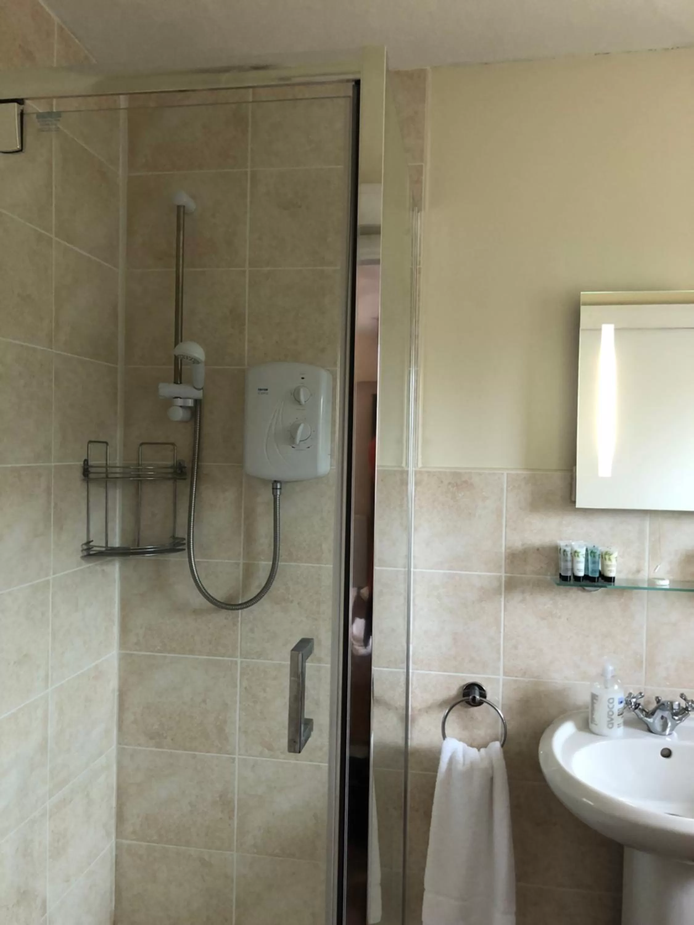 Bathroom in The Lethbridge Arms