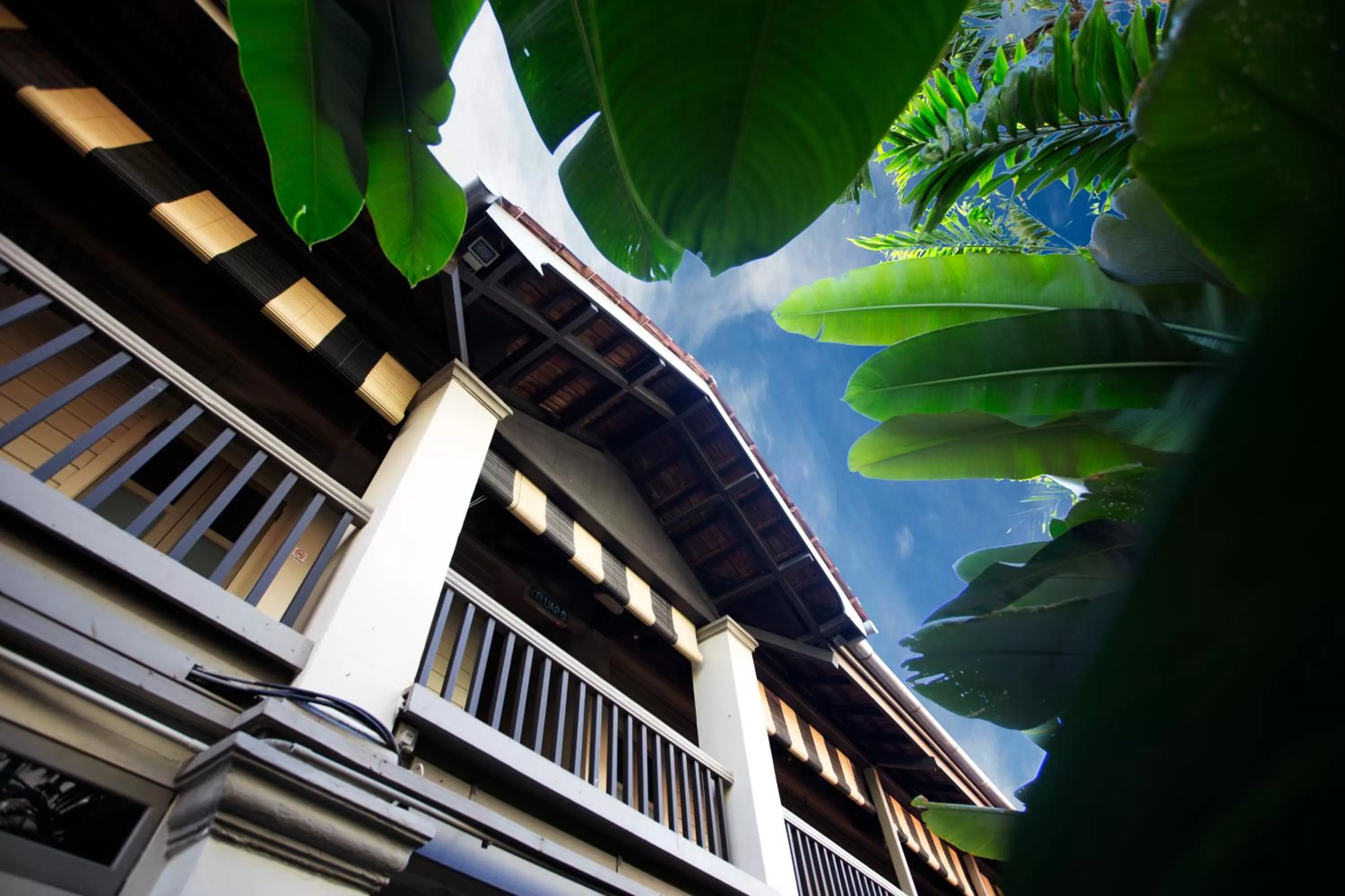 Property building in Muntri Mews