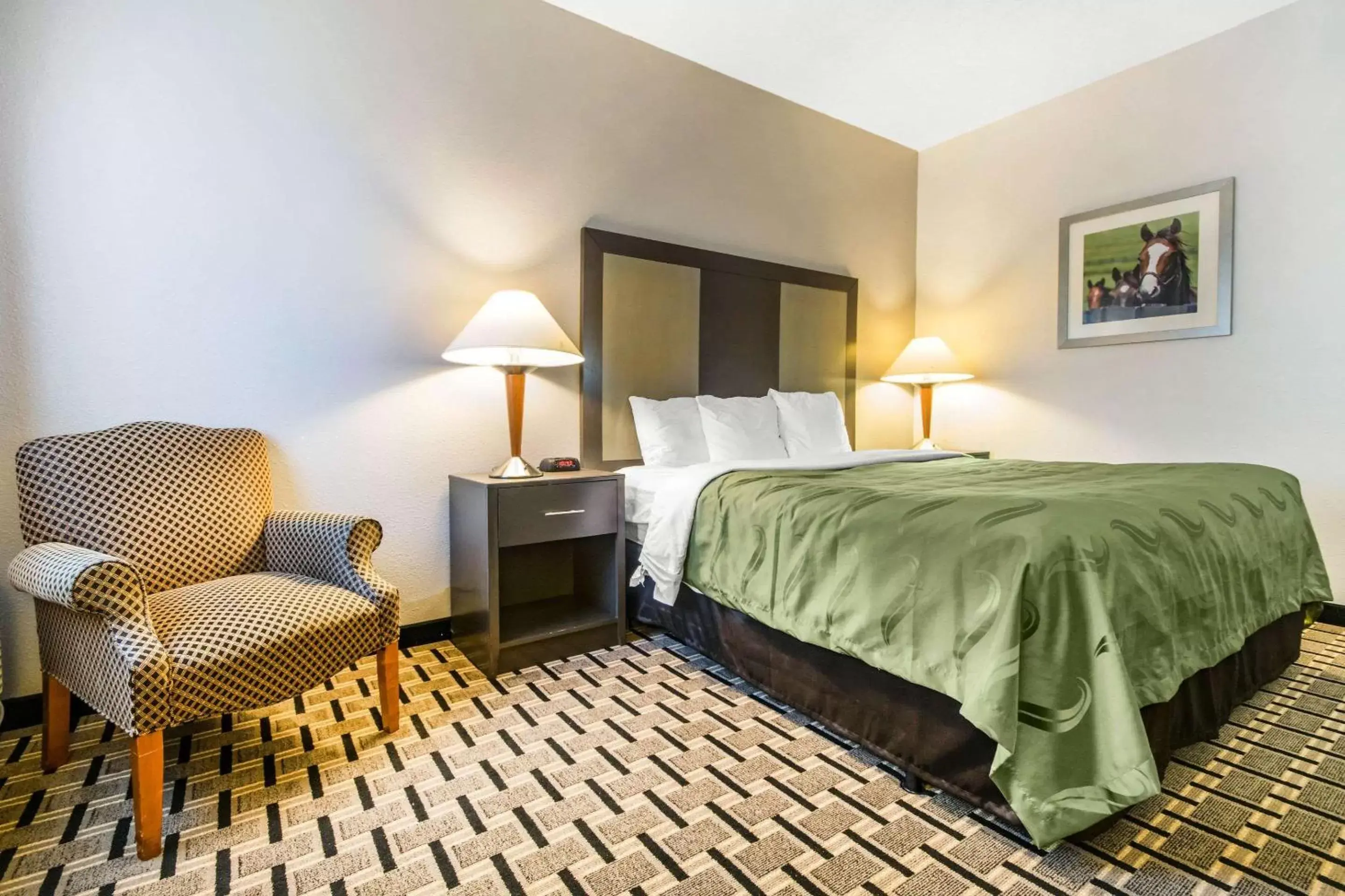 Photo of the whole room, Bed in Quality Inn Lexington East Hamburg Area Photo of the whole room, Bed in Quality Inn Lexington East Hamburg Area