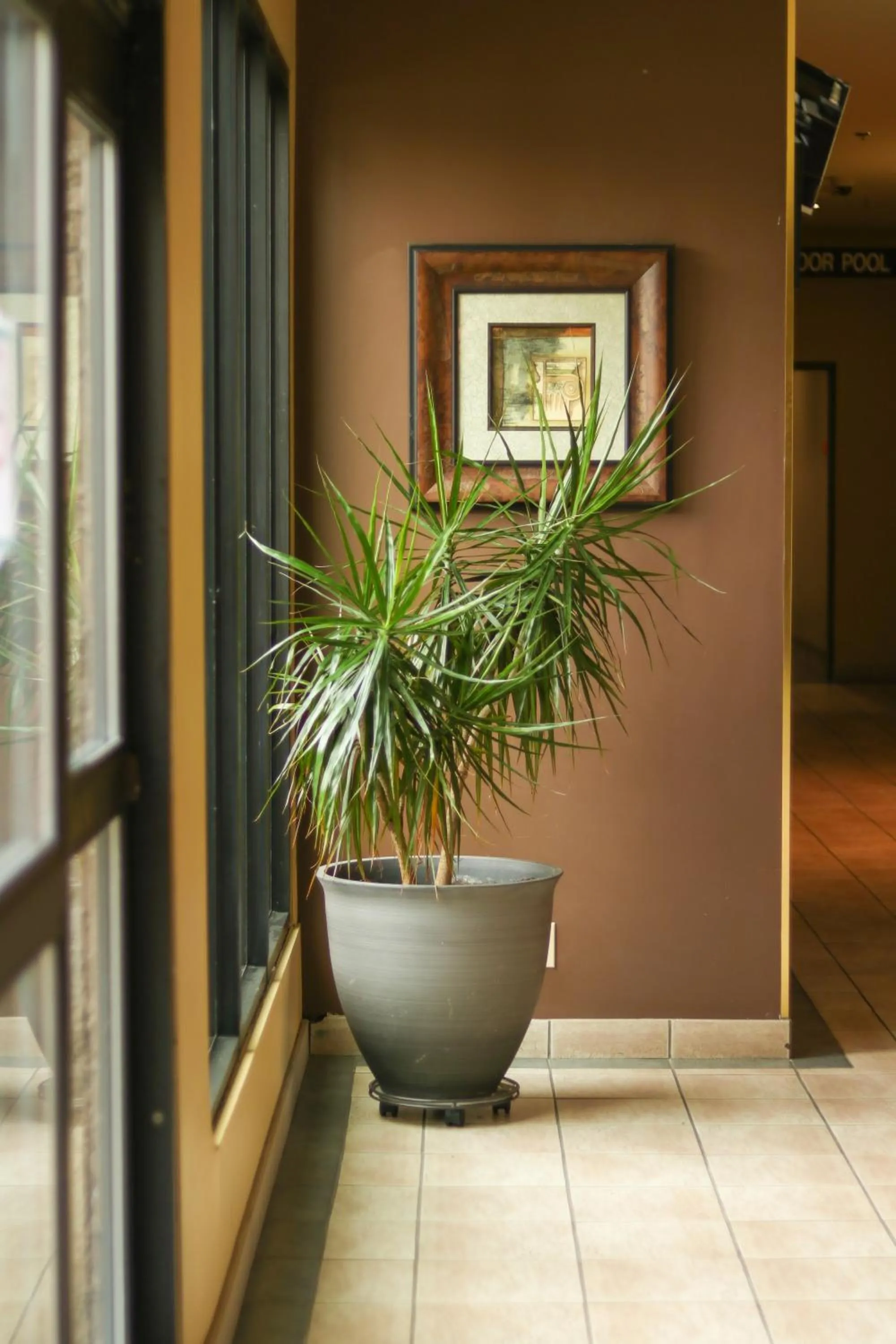 Communal lounge/ TV room in Divya Sutra Plaza and Conference Centre, Vernon, BC