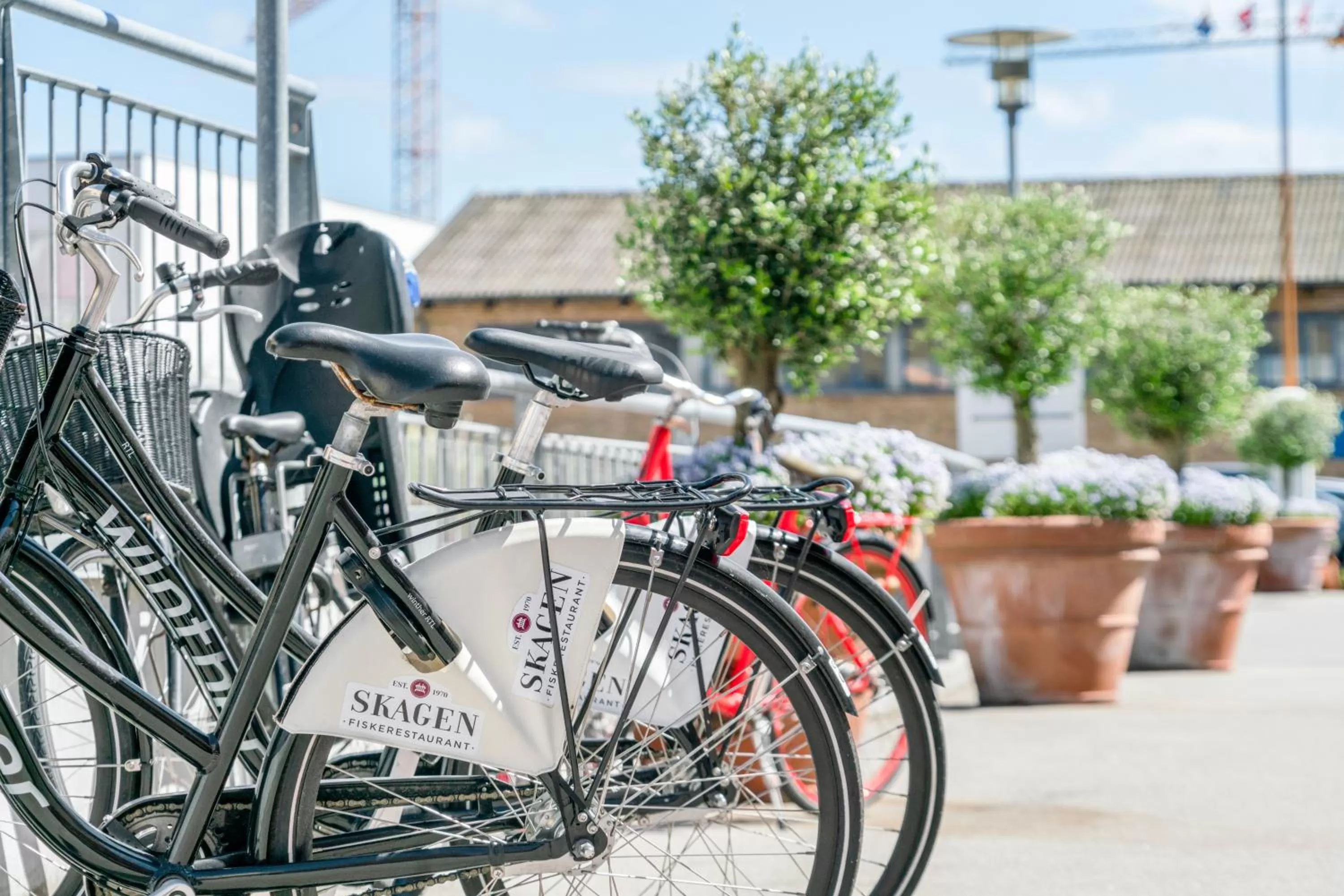 Activities in Skagen Harbour Hotel