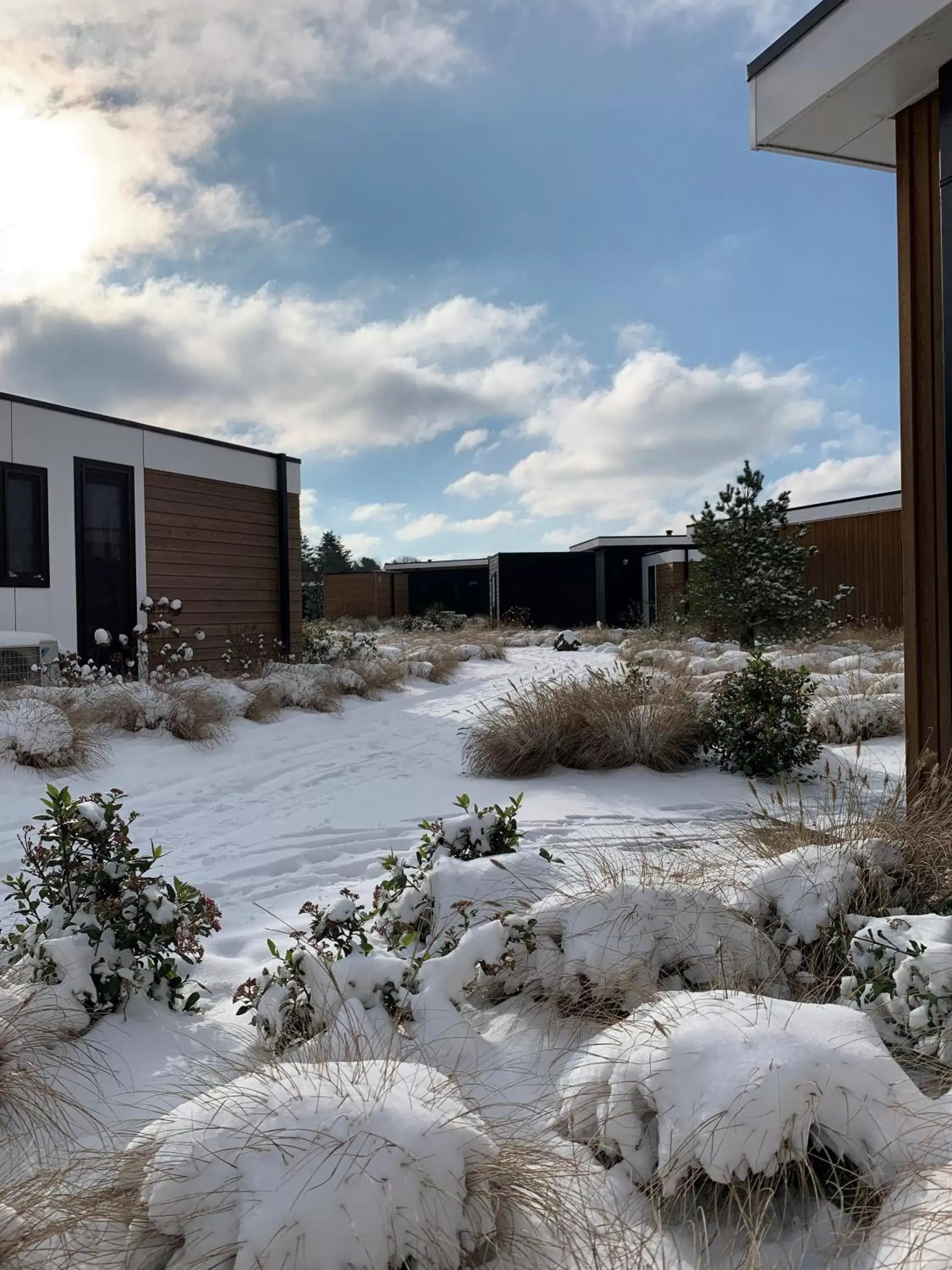 Natural landscape, Winter in Duynparc Soest