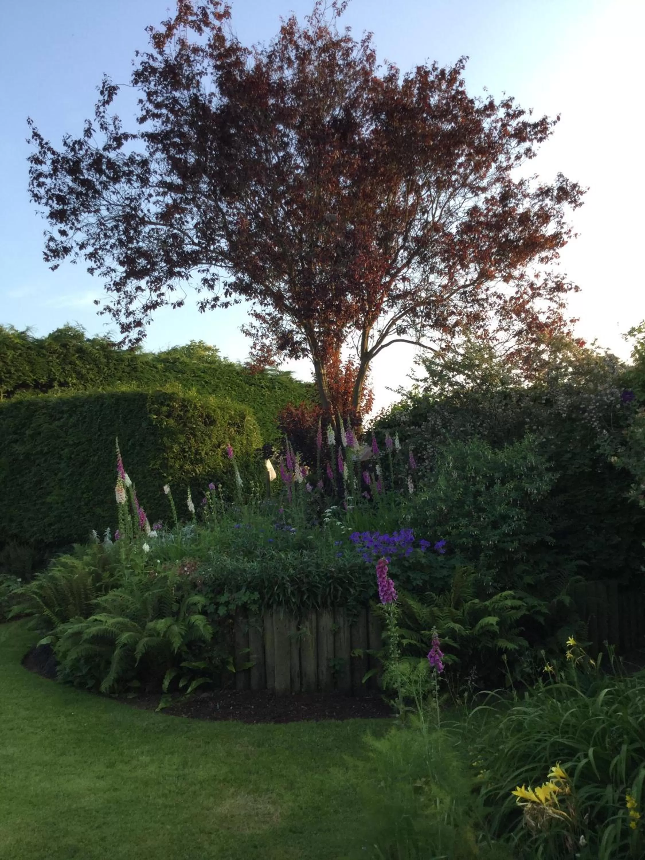 Property building, Garden in Steps Farmhouse B&B