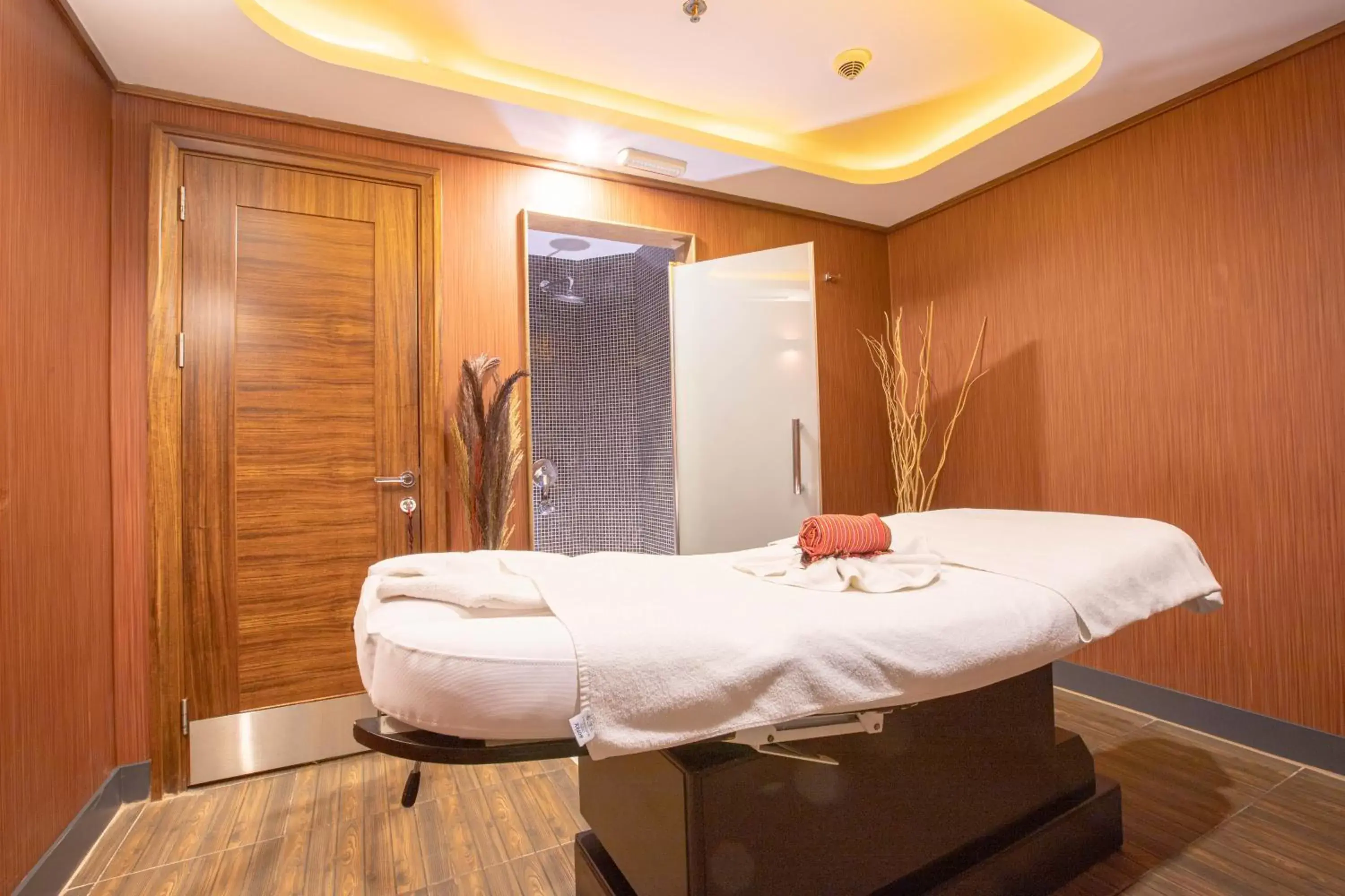 Massage, Spa/Wellness in New Park Hotel