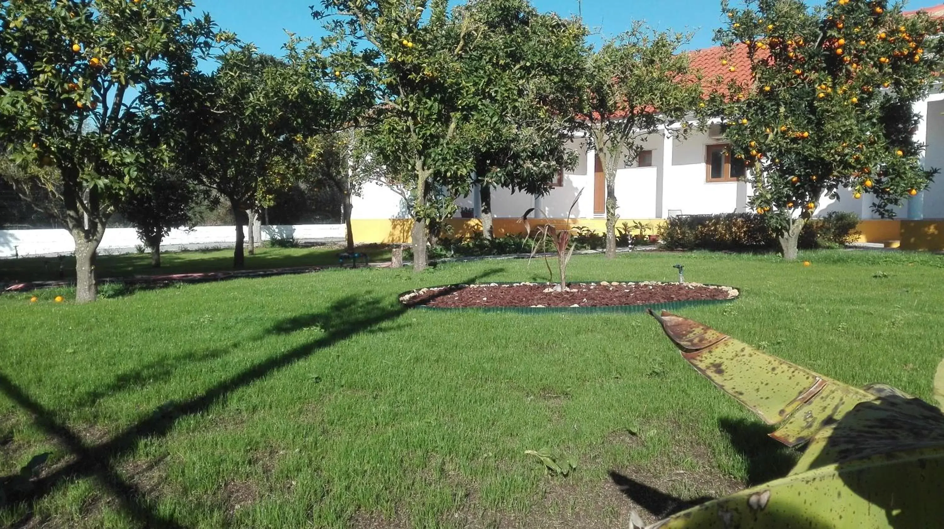 Garden in Quinta Laranjal da Arrabida