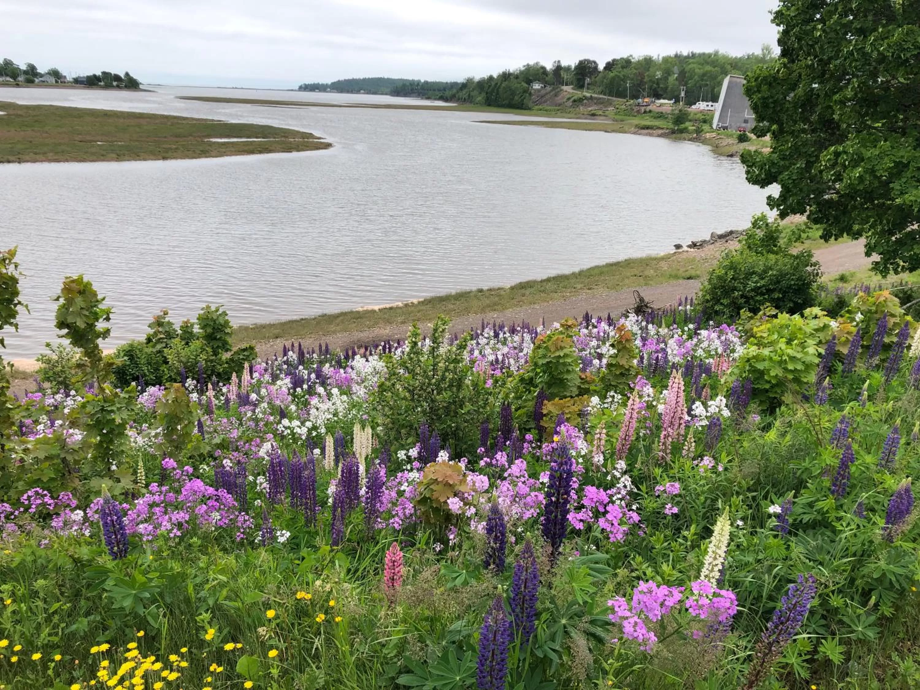 Neighbourhood in Pleasant Street Inn