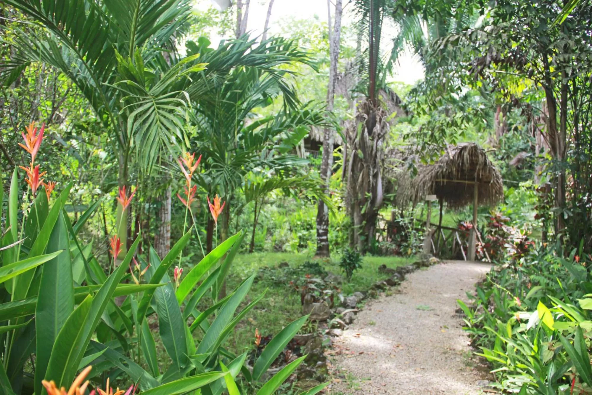 Garden in Sun Creek Lodge