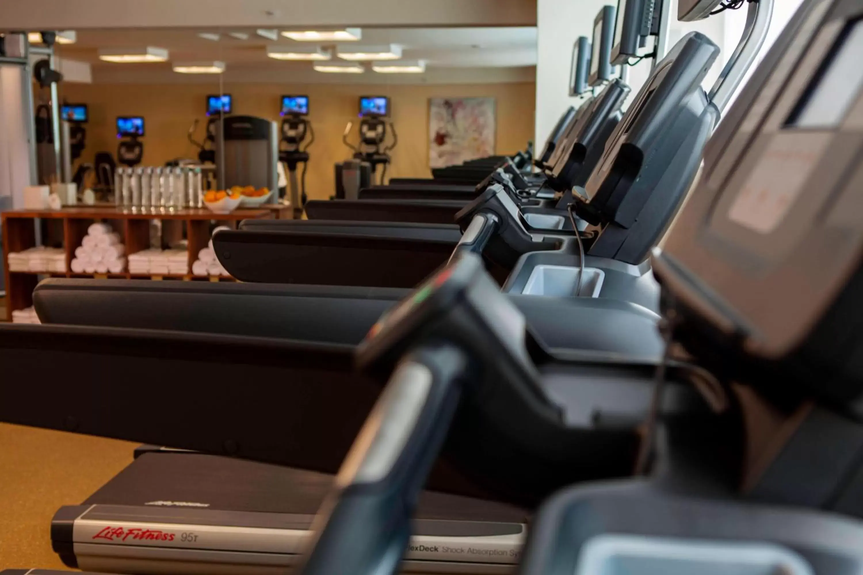 Fitness centre/facilities, Fitness Center/Facilities in Renaissance Baton Rouge Hotel