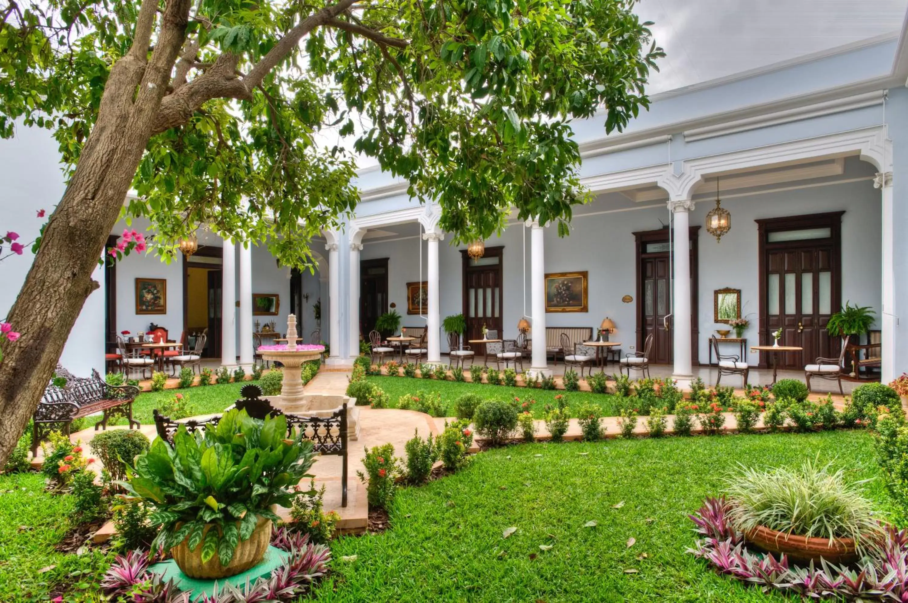 Garden, Property Building in Casa Azul Monumento Historico