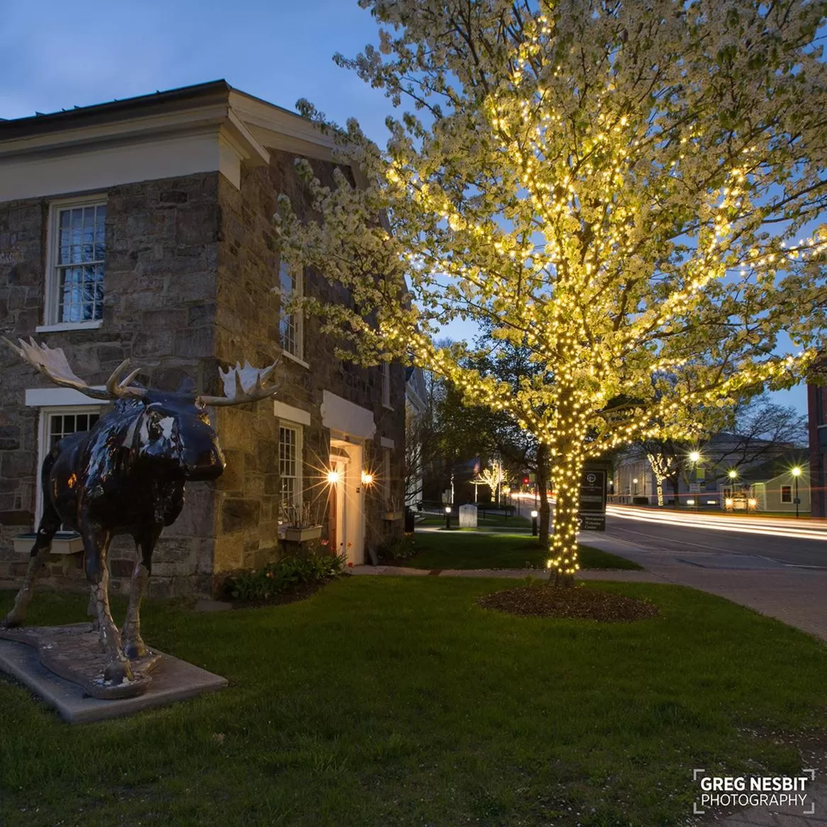 Neighbourhood in Governor's Rock Motel