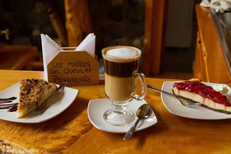 Food and drinks in Los Mañíos Del Queulat Puyuhuapi