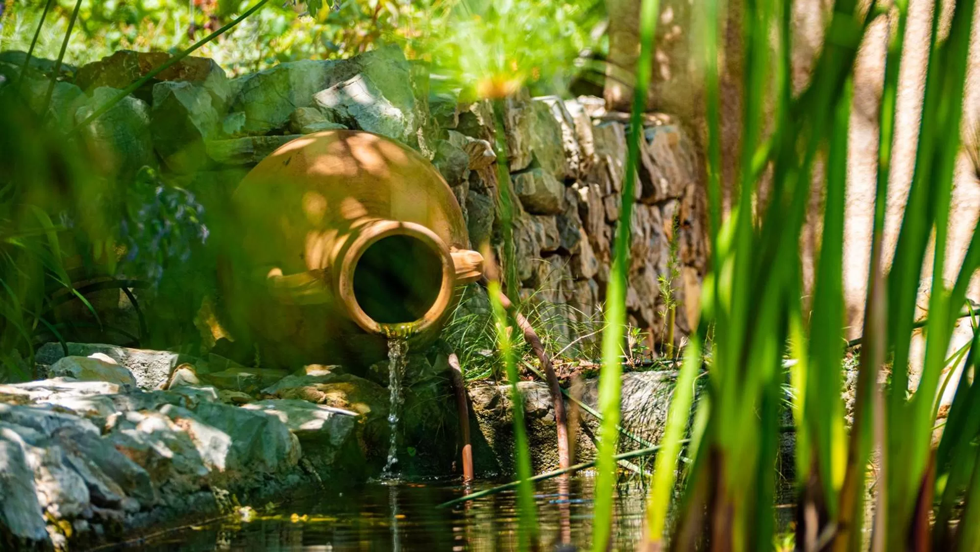 Natural landscape in Cases de Son Barbassa Hotel & Restaurant
