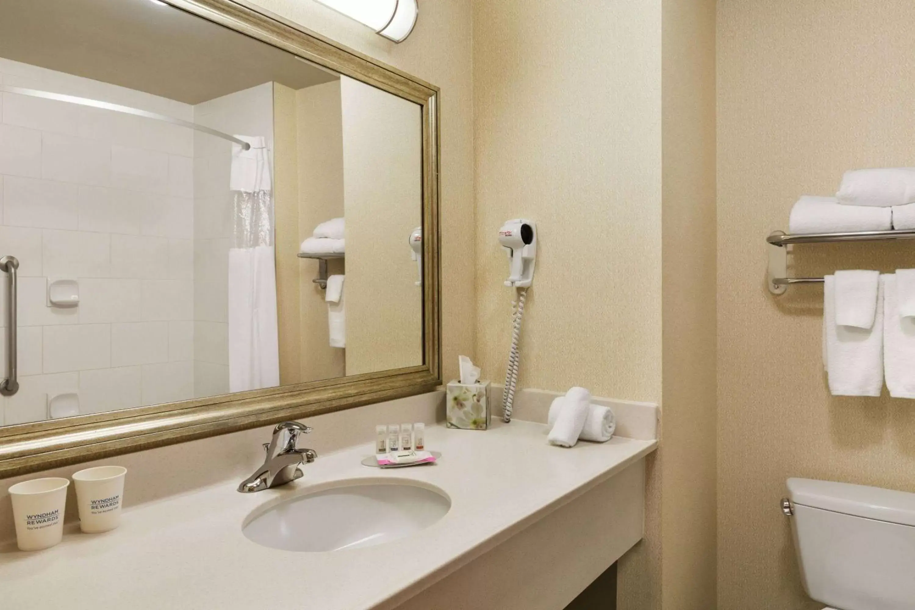 TV and multimedia, Bathroom in Days Inn & Suites by Wyndham Edmonton Airport