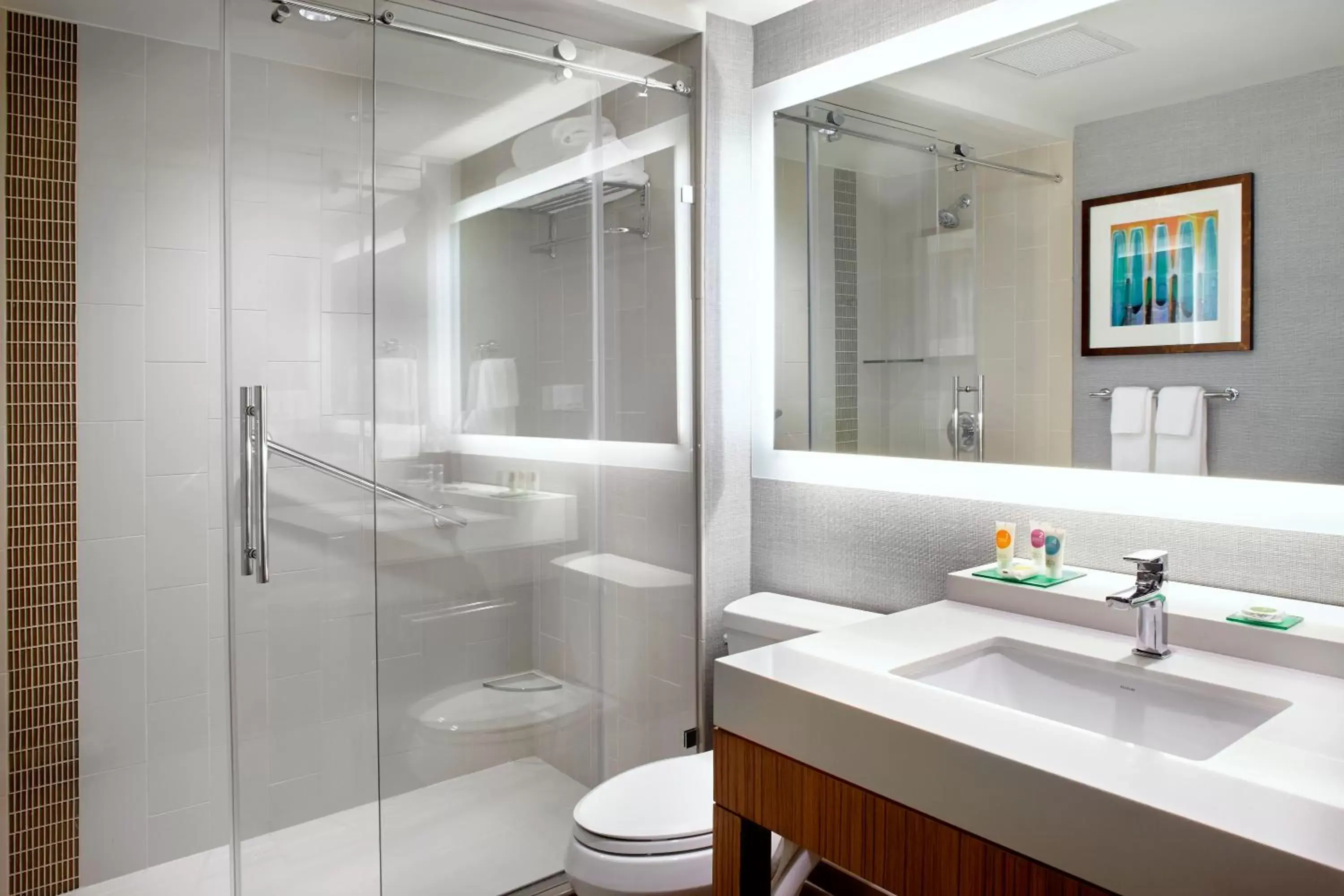 Shower, Bathroom in Hyatt Place Miami Airport East