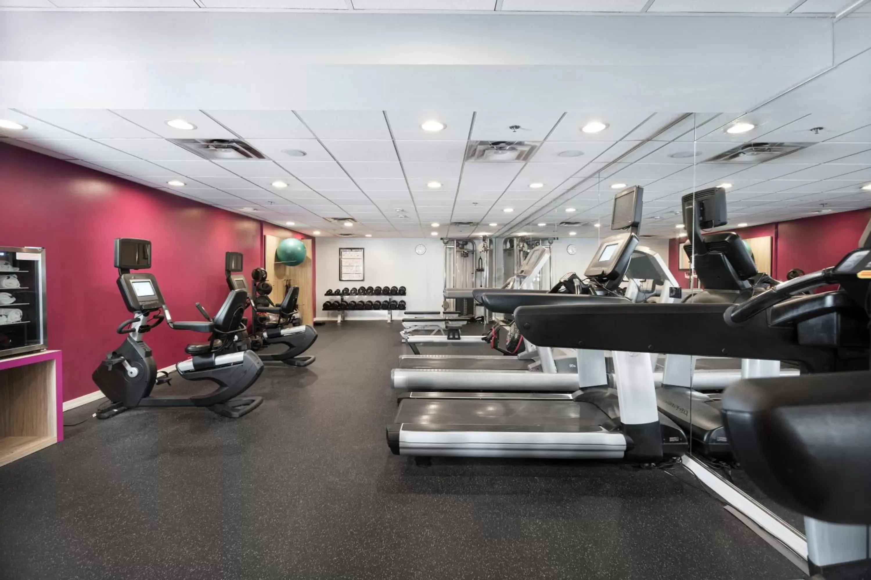 Fitness centre/facilities, Fitness Center/Facilities in Fort Pontchartrain Detroit, a Wyndham Hotel