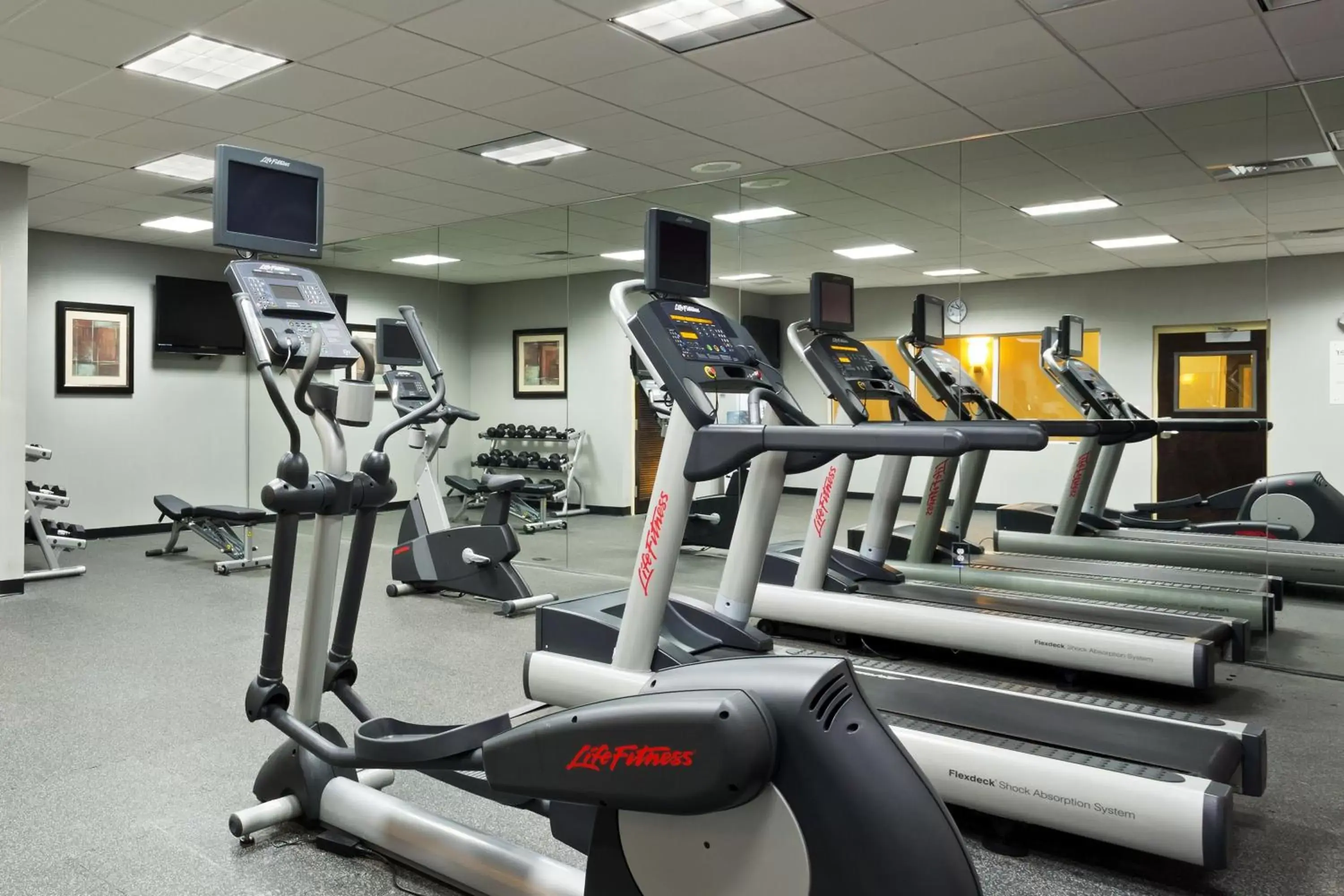 Fitness centre/facilities, Fitness Center/Facilities in Holiday Inn Daytona Beach LPGA Boulevard, an IHG Hotel