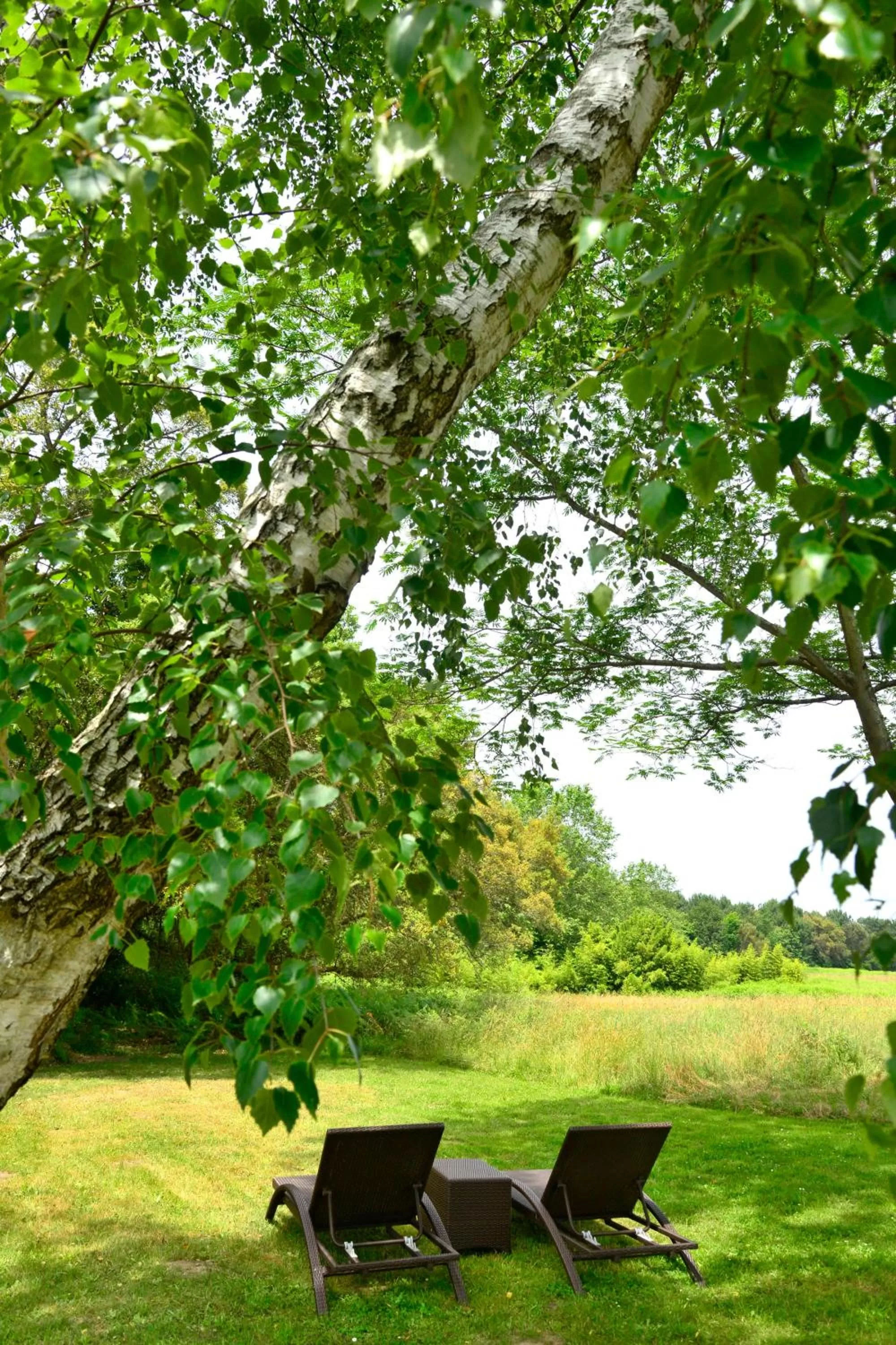 Day in The Originals City, Hôtel Le Lodge, Ondres, Bayonne Nord