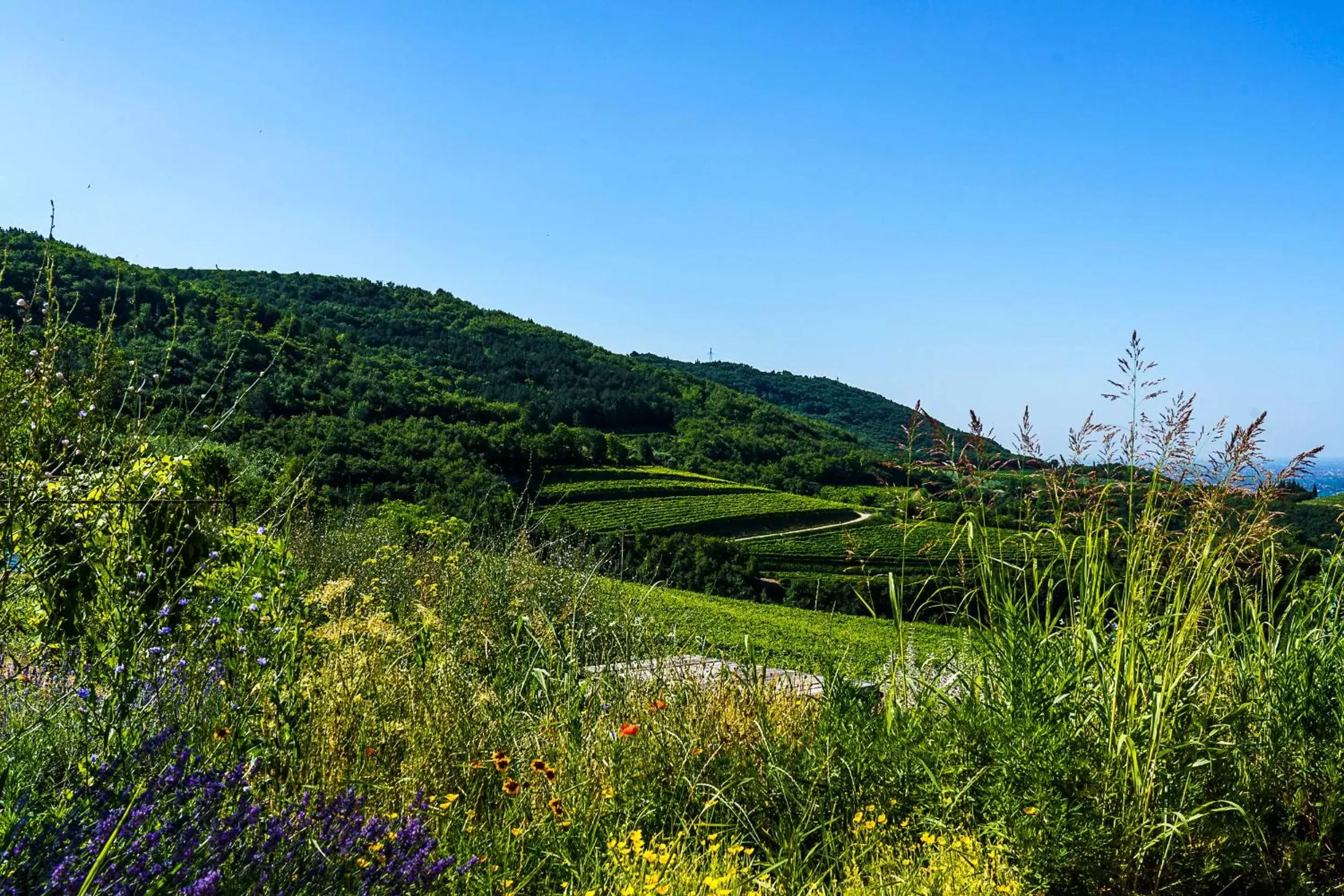 Spring, Natural Landscape in Villa Balis Crema Verona Hills