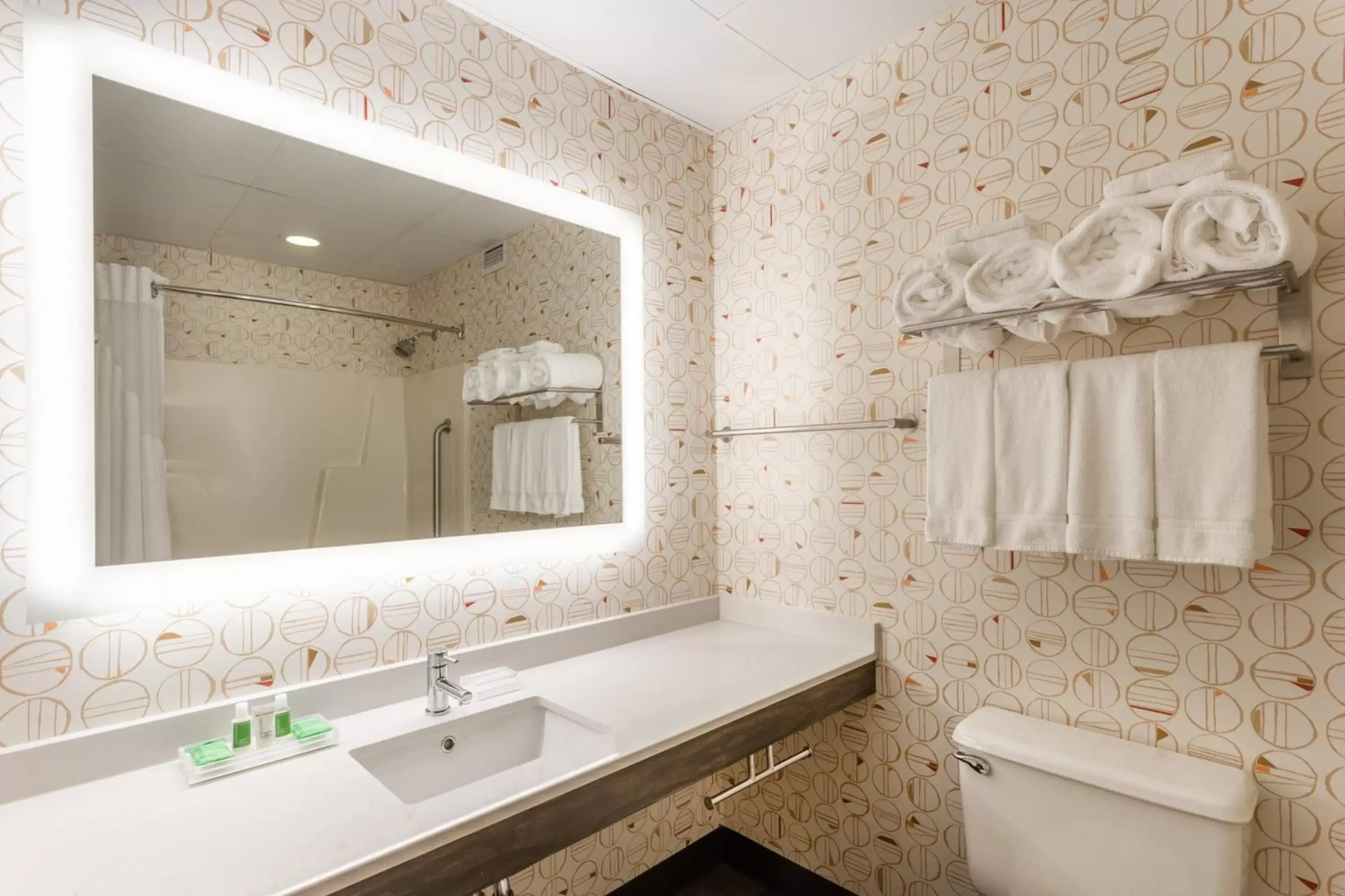 Bathroom in Holiday Inn Philadelphia South-Swedesboro, an IHG Hotel