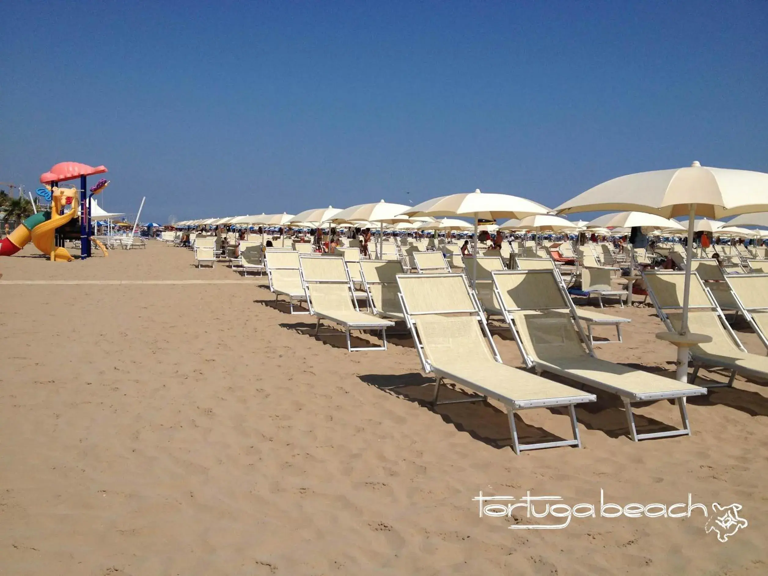 Beach in Hotel Audi Frontemare