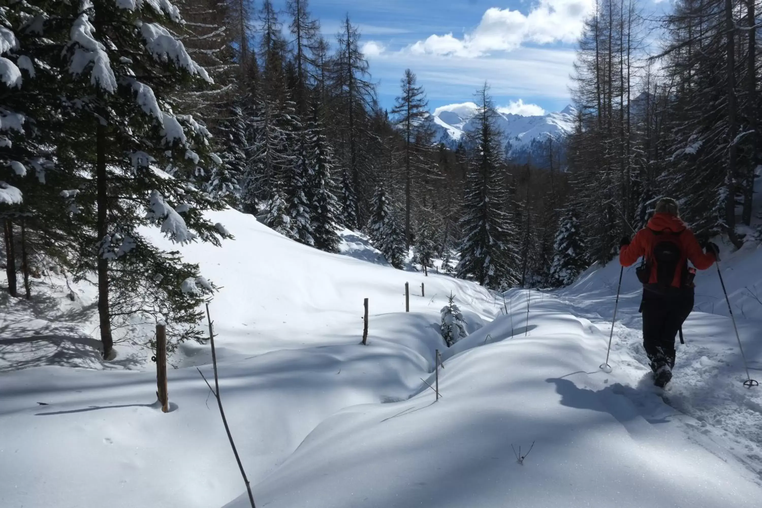 Area and facilities, Skiing in Hotel La Stua