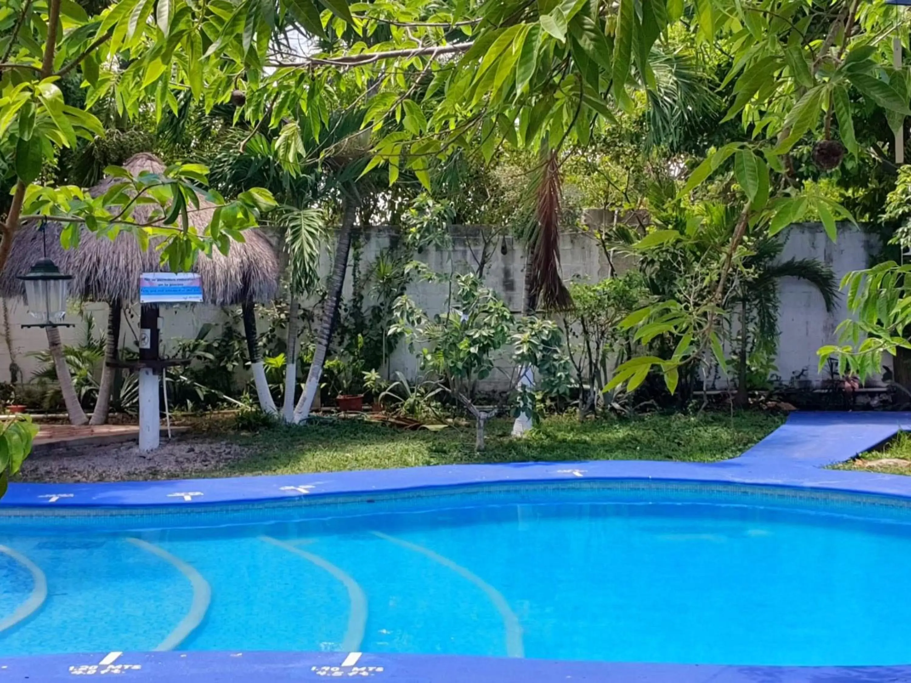 Swimming Pool in Cabañas Colibrí