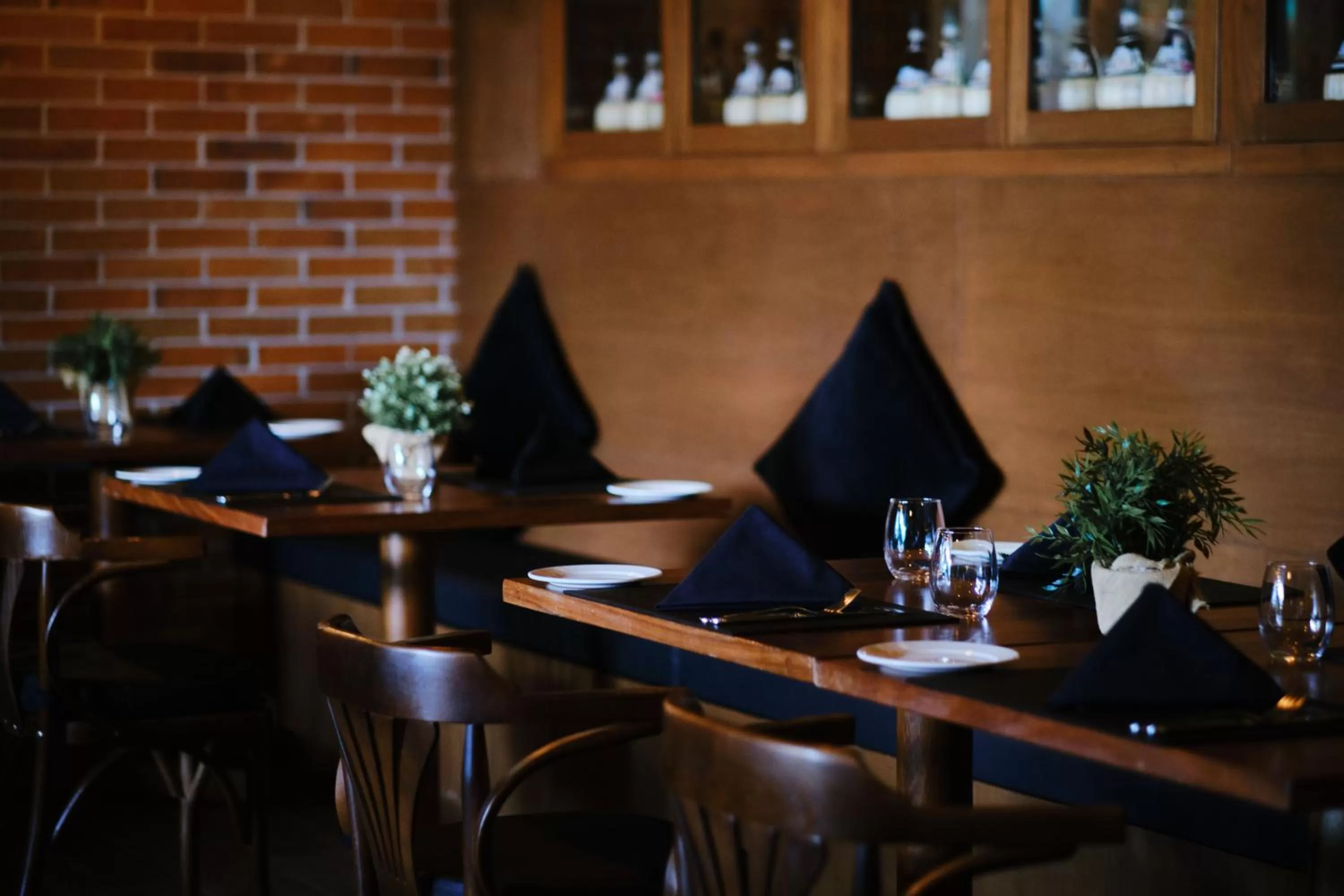 Restaurant/places to eat in Hotel NYX Cancun