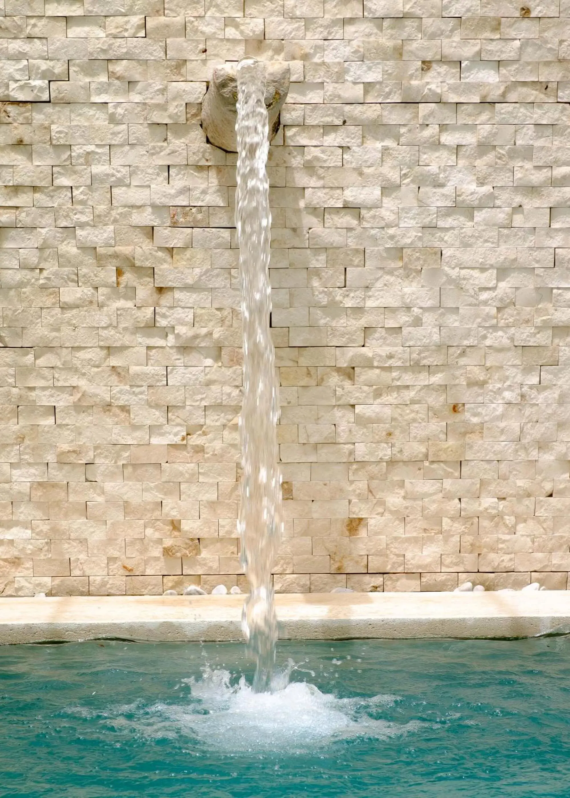 Swimming pool in Viva Merida Hotel Boutique Swimming pool in Viva Merida Hotel Boutique