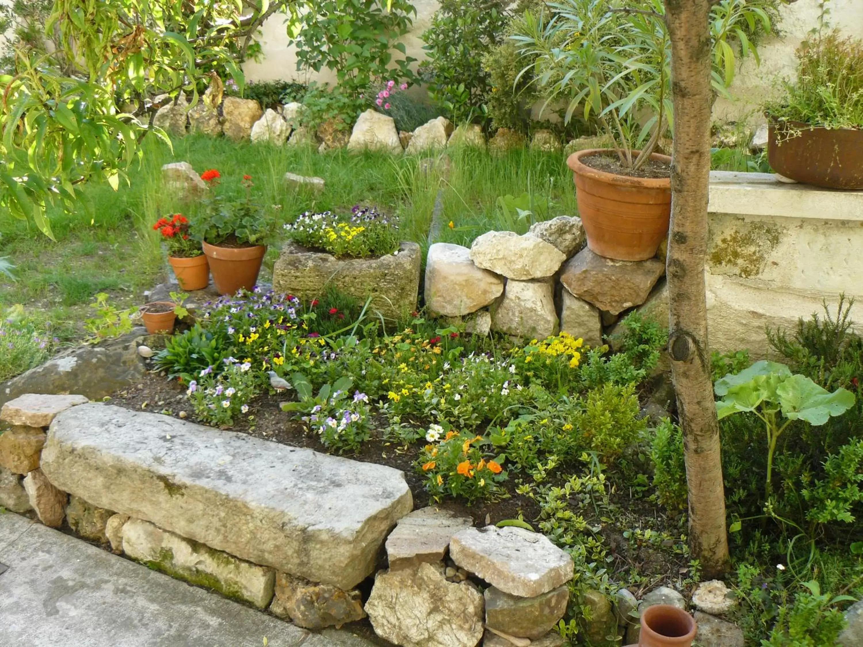 Garden in La Maison de Saumur