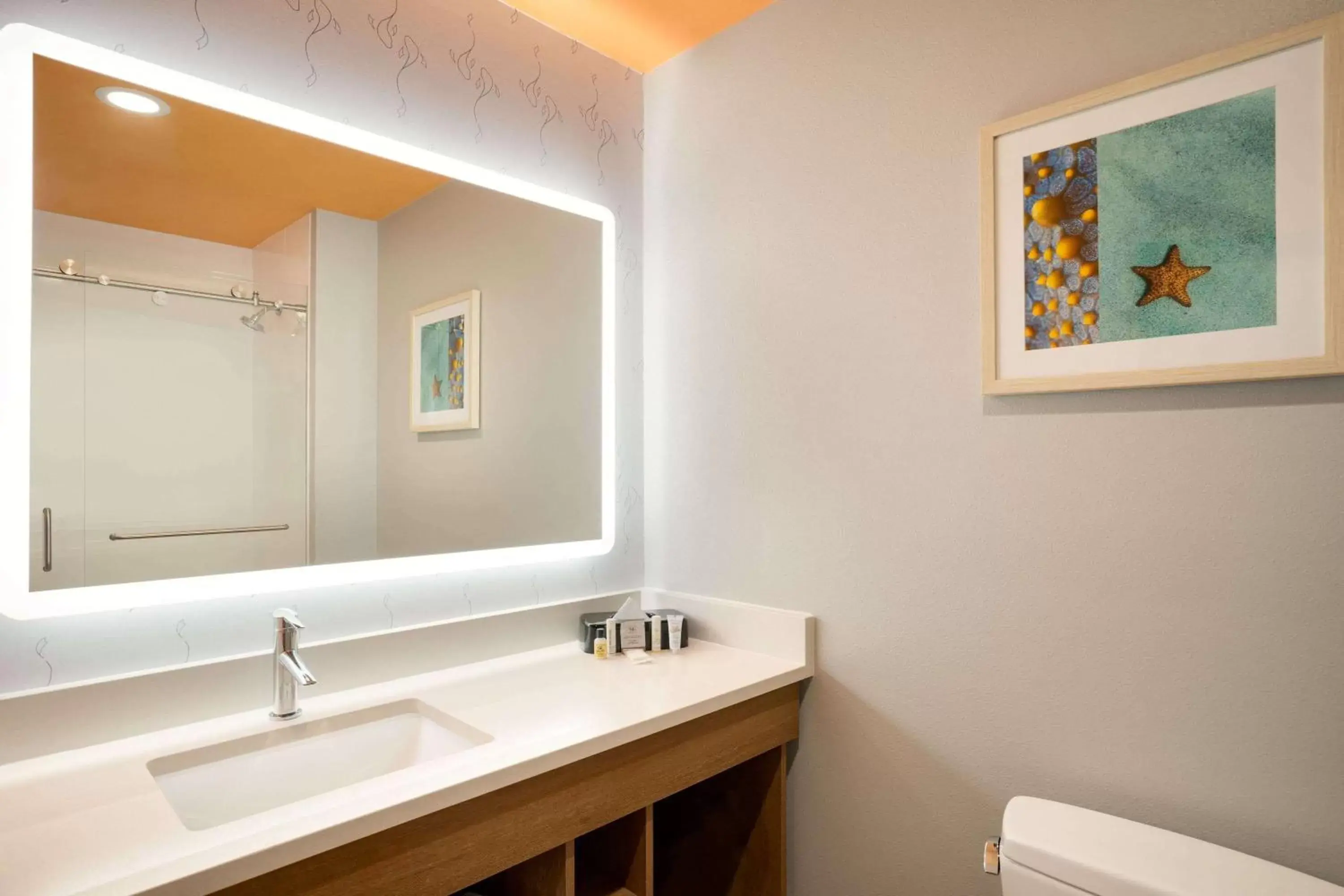 Bathroom in La Quinta Inn & Suites by Wyndham San Antonio Seaworld LAFB