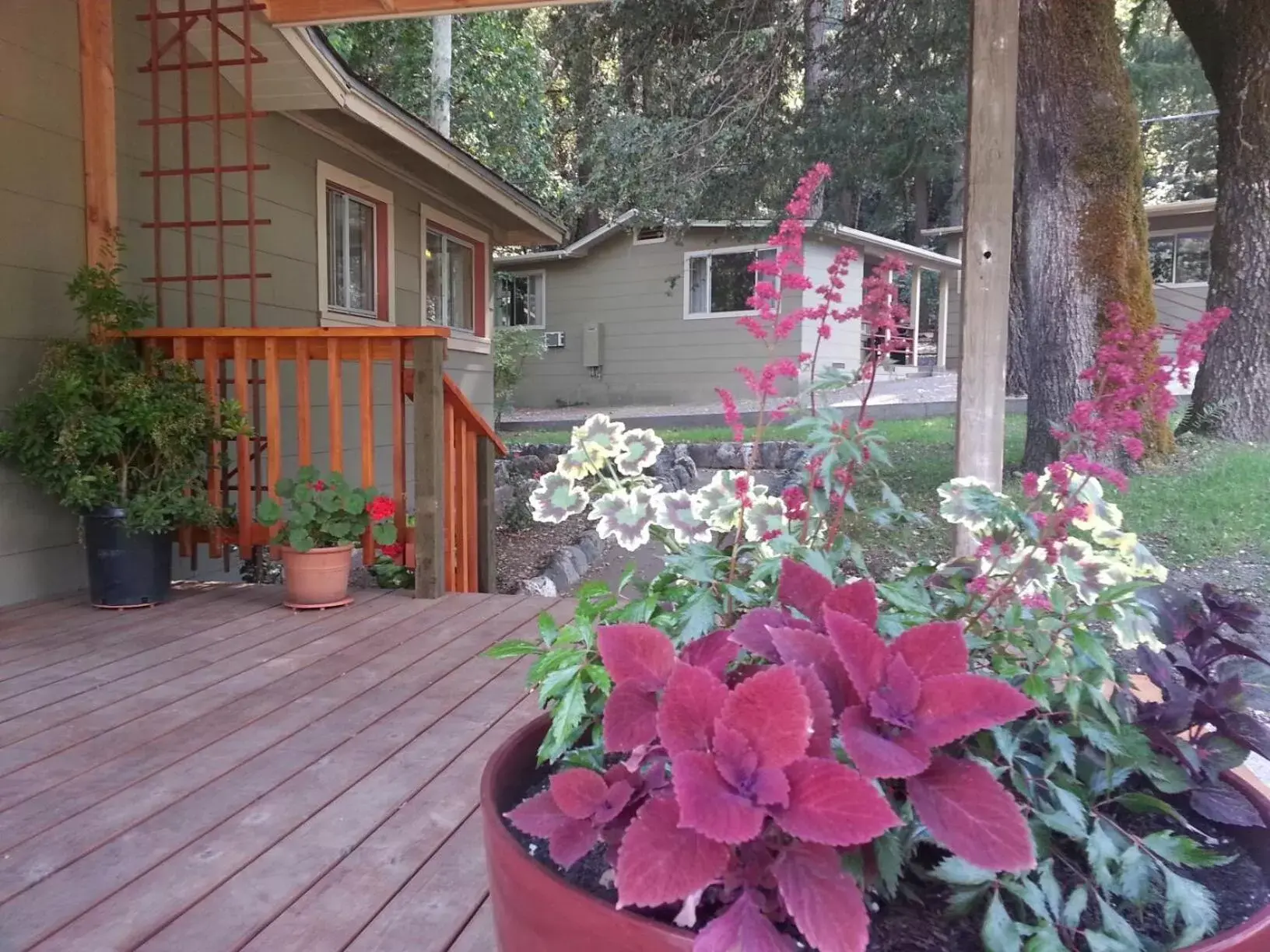 Property Building in China Creek Cottages